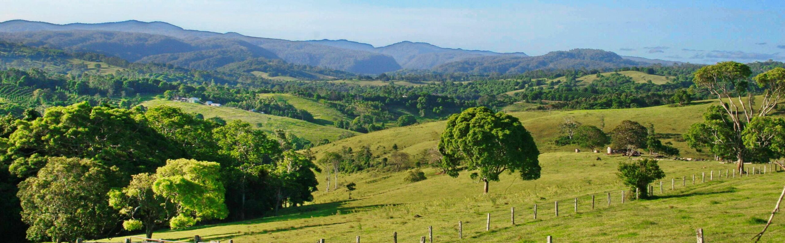 Family Friendly Home in the Heart of Bangalow