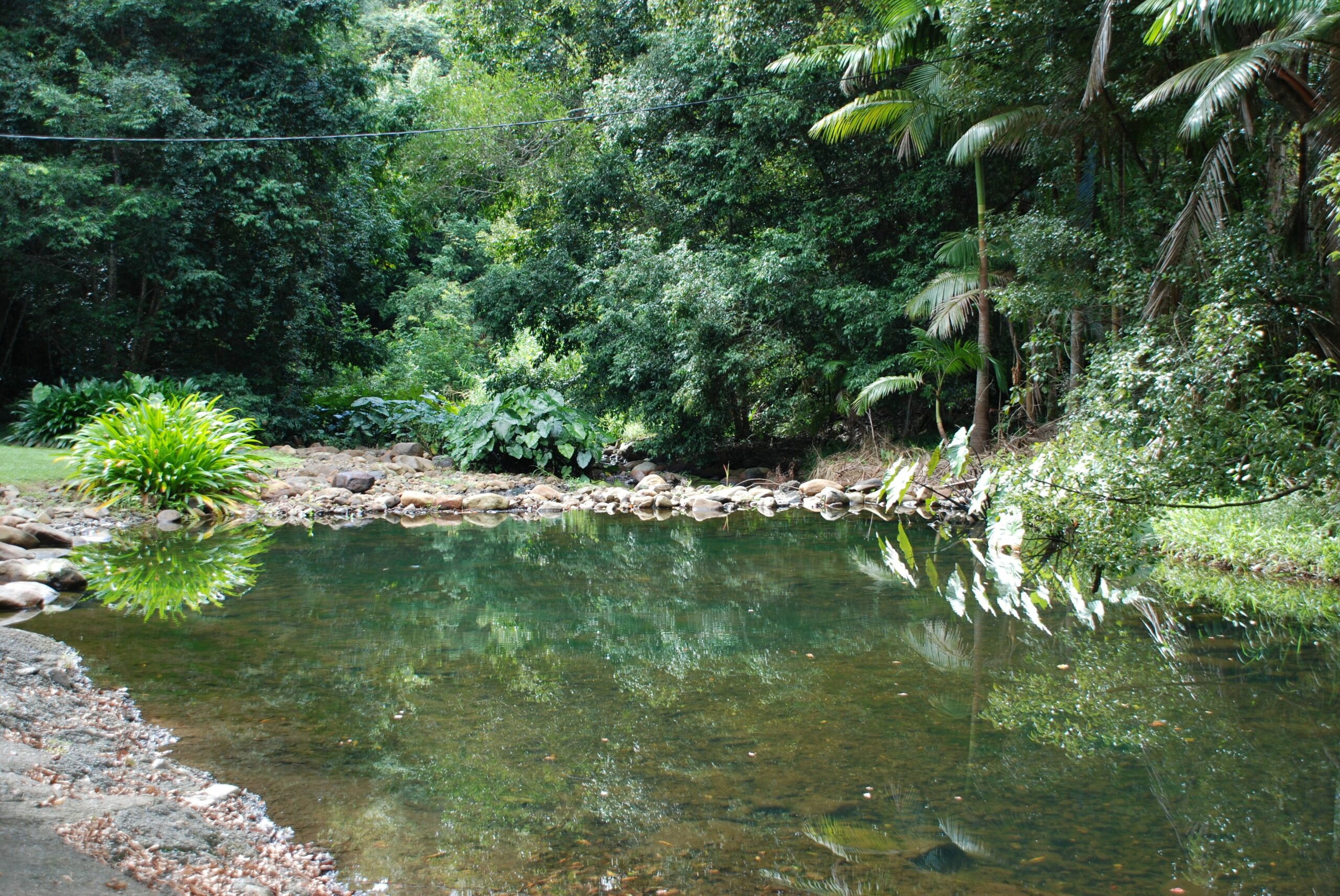 Mt Warning Rainforest Retreat