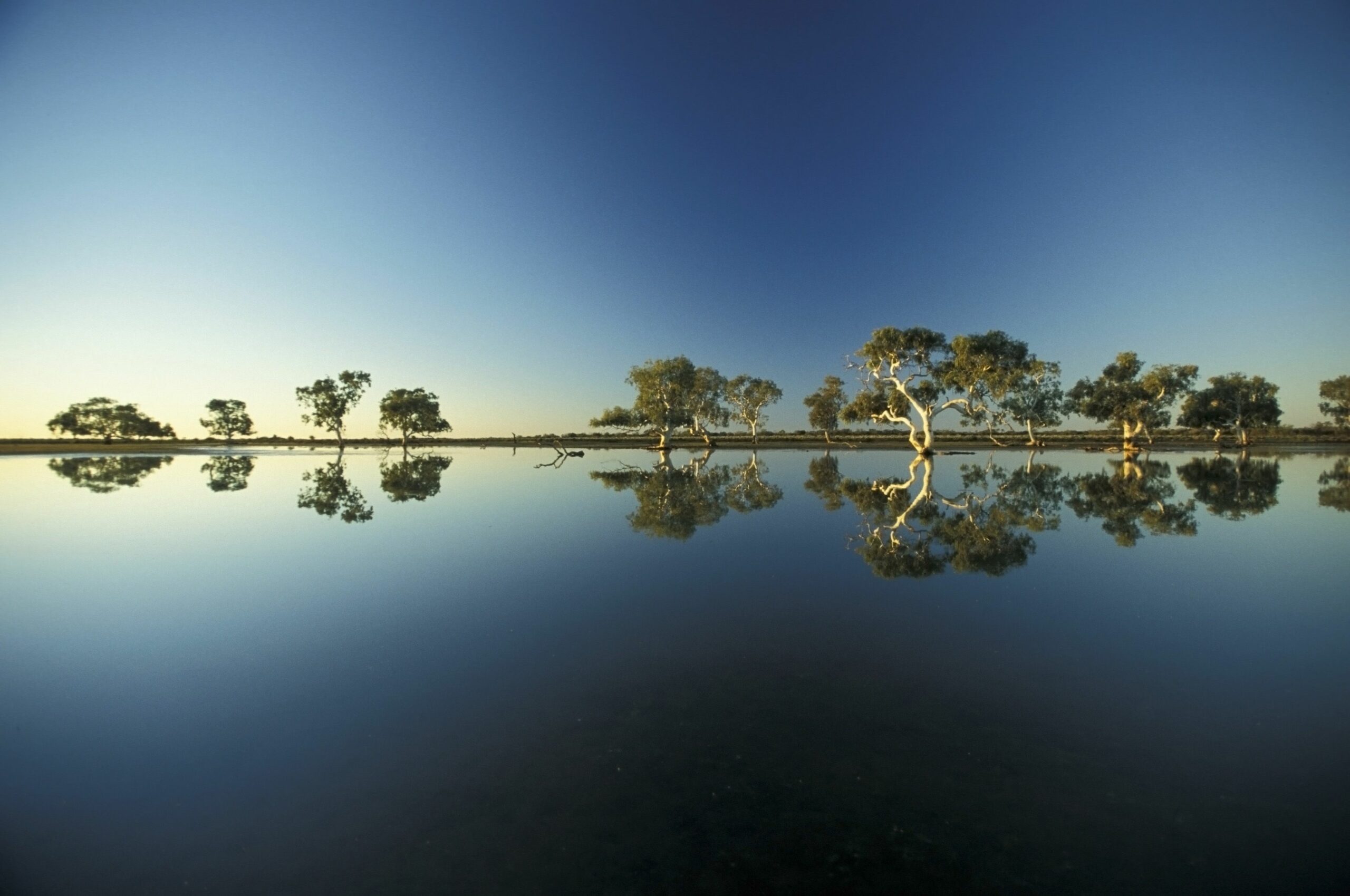 Wooleen Station