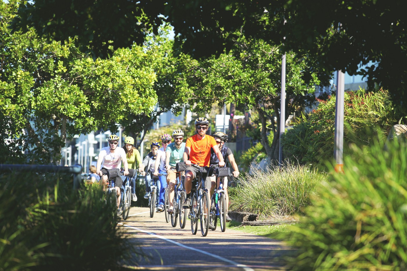 Brisbane By Bicycle Morning Tour