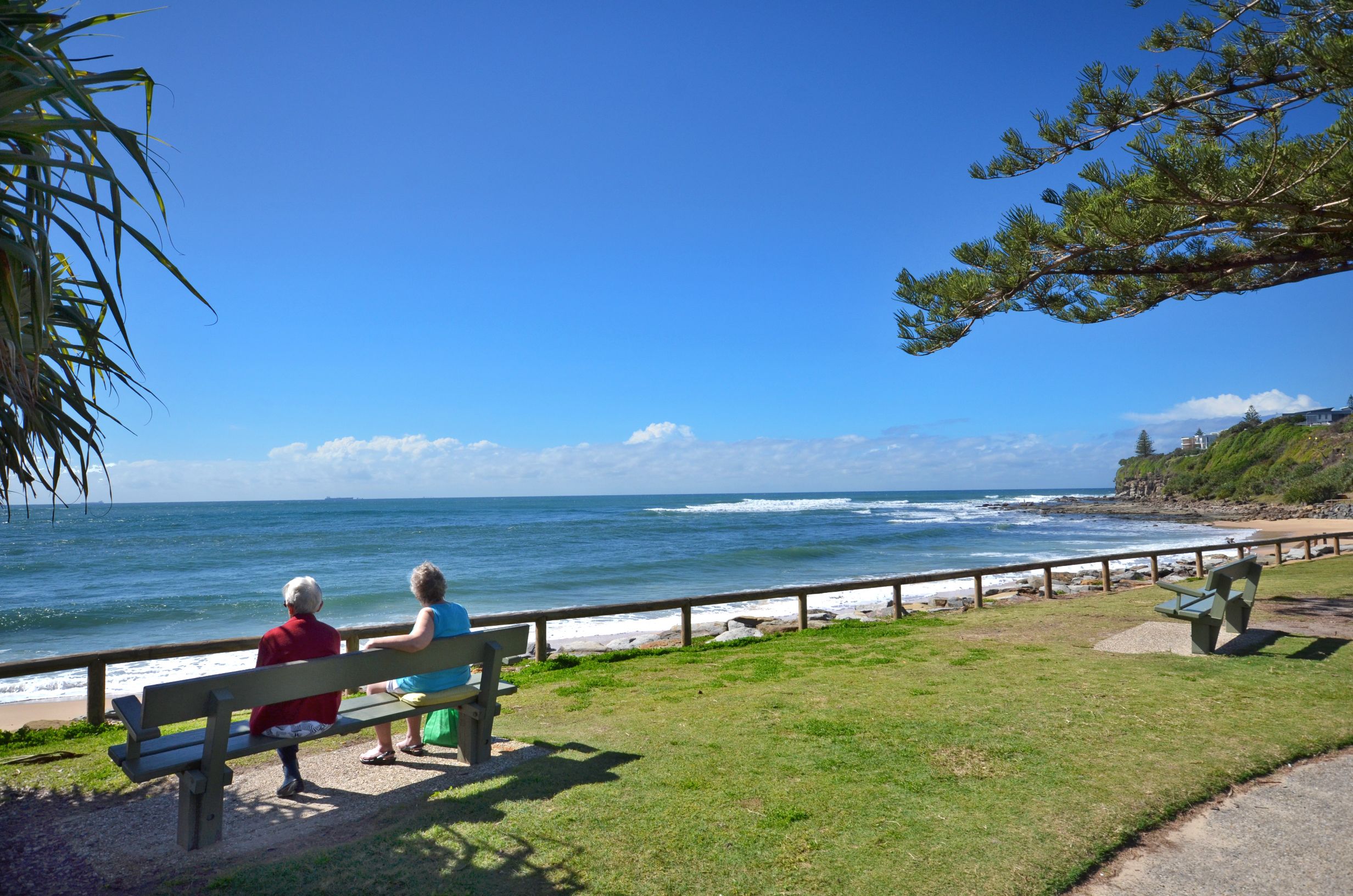 Raintrees on Moffat Beach