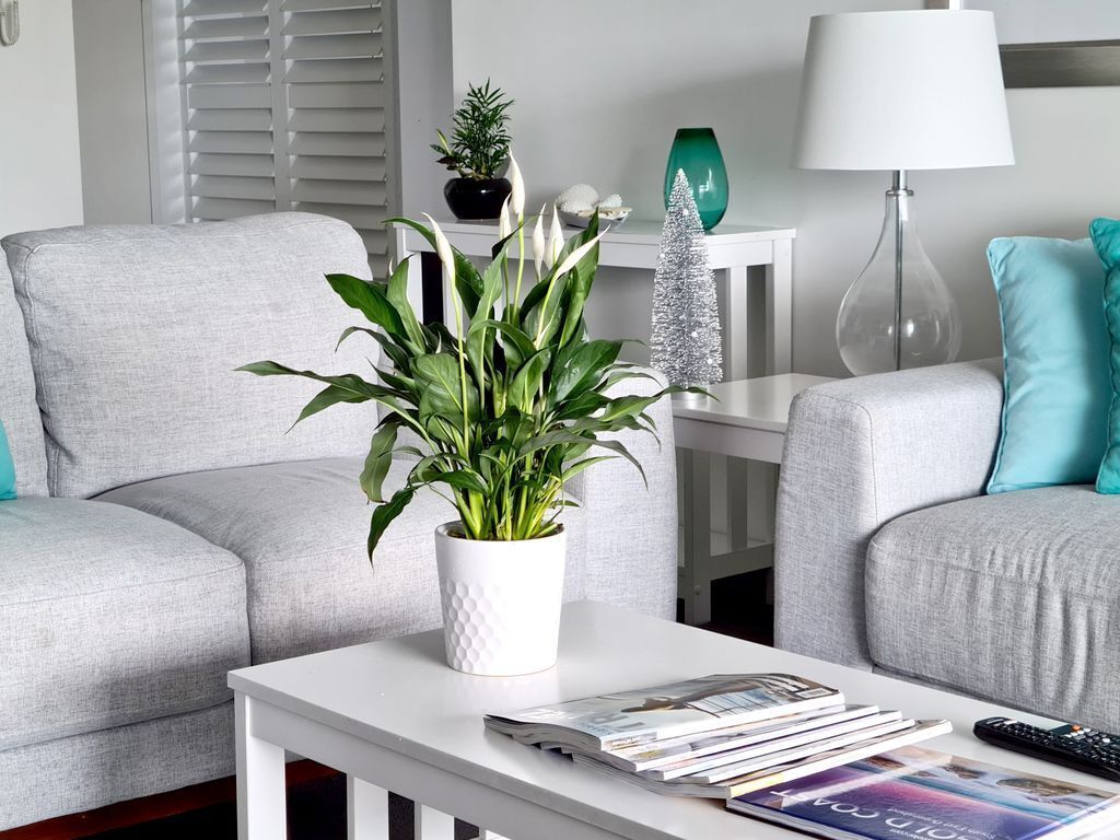 Central Surfers Paradise - Seaview Deluxe Spa Apartment