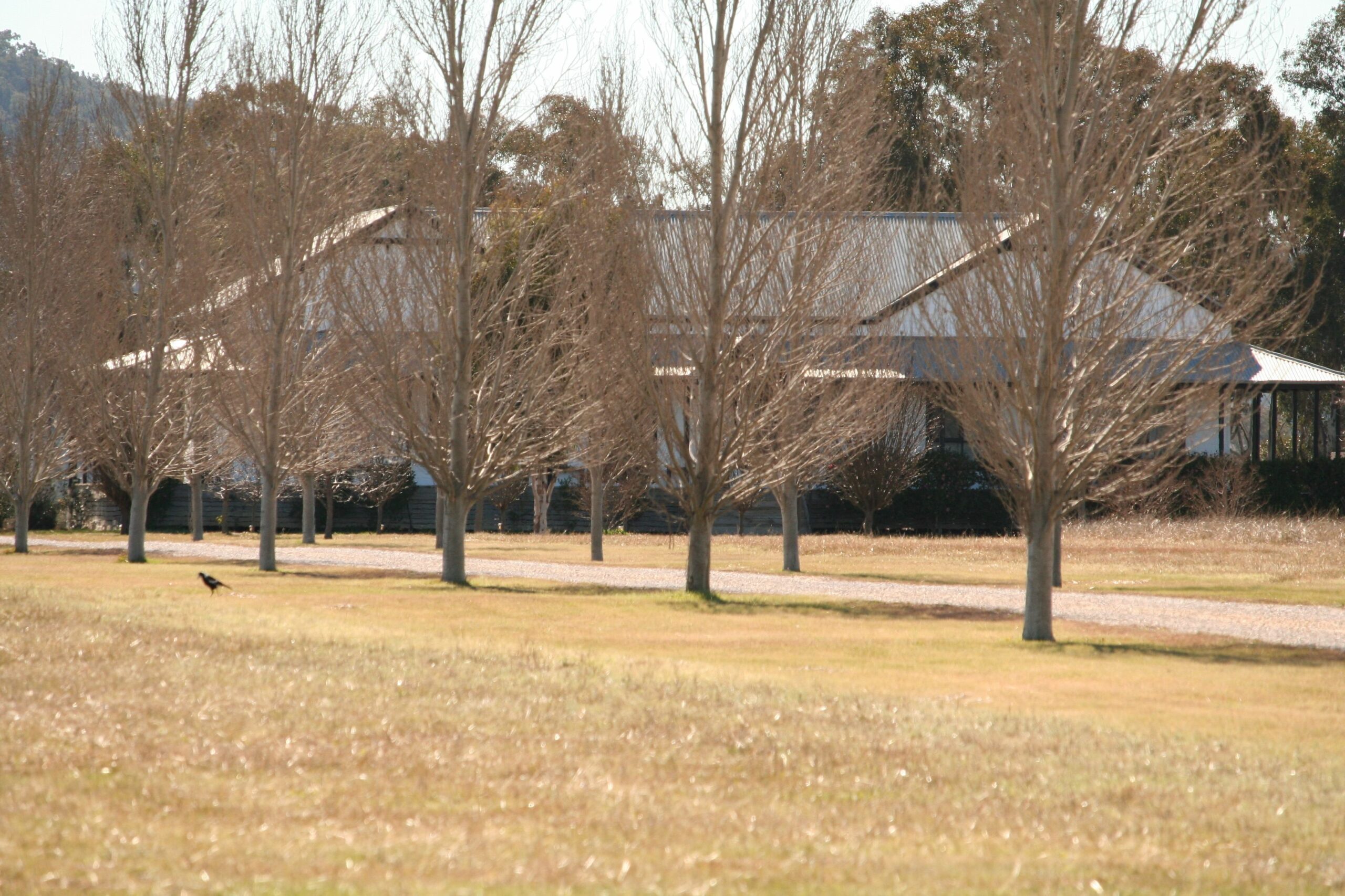 The Farmhouse at Blue Wren Wines