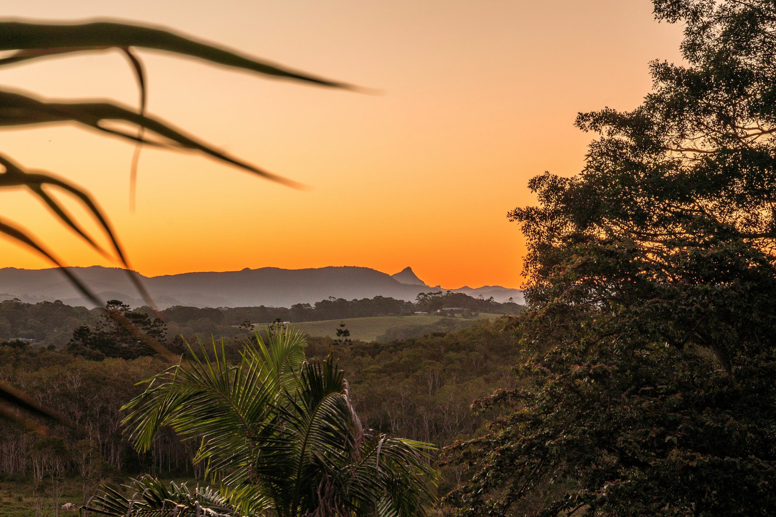 Cape Byron Retreat