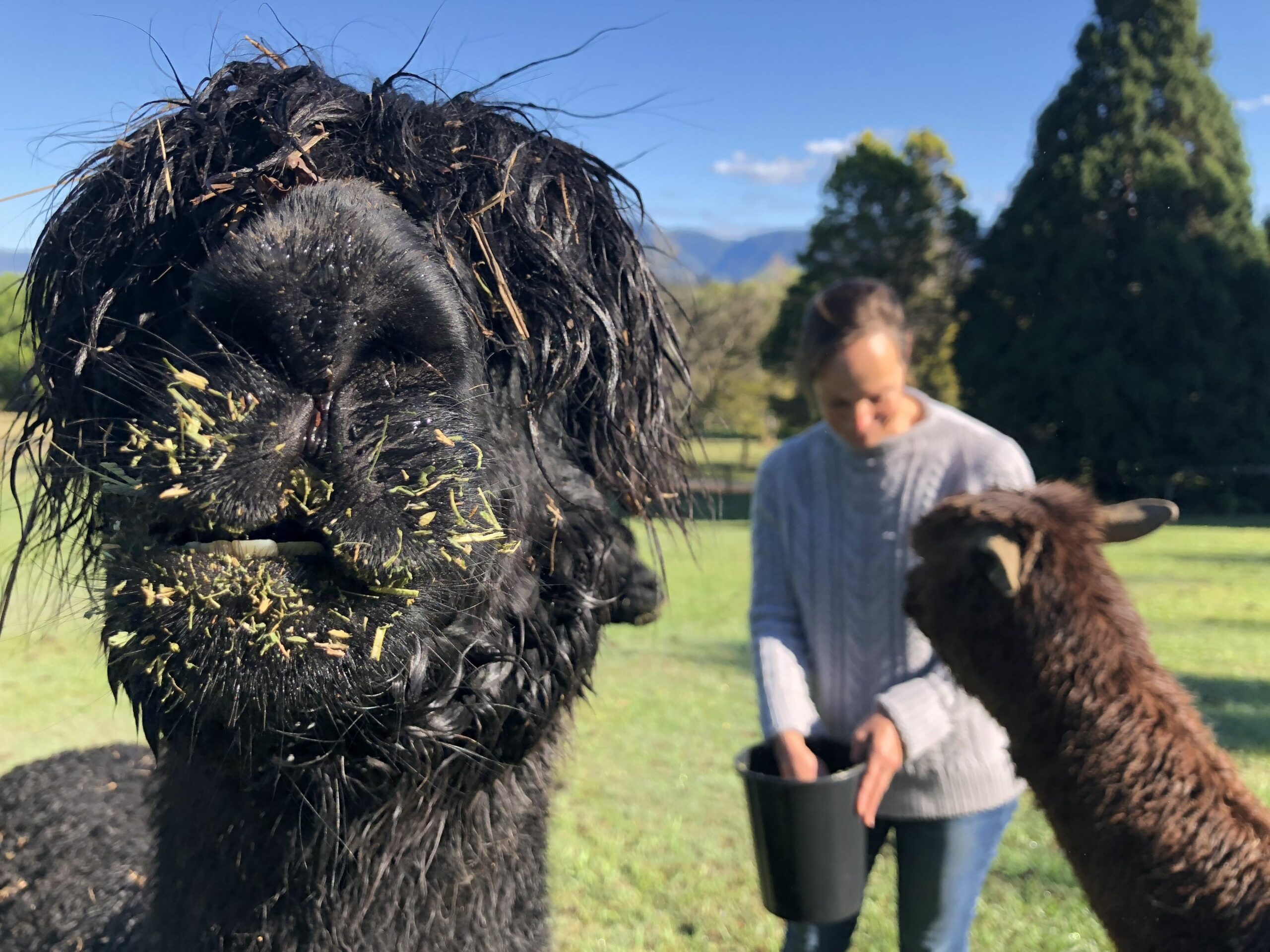 Bellingen Valley Lodge