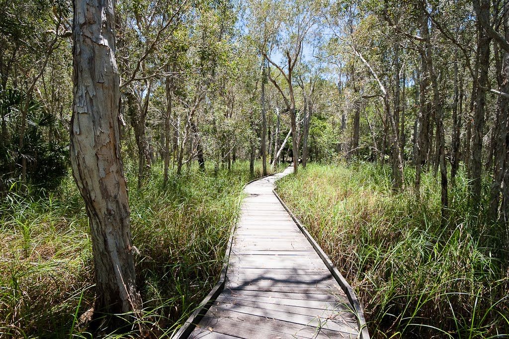 NRMA Woodgate Beach Holiday Park