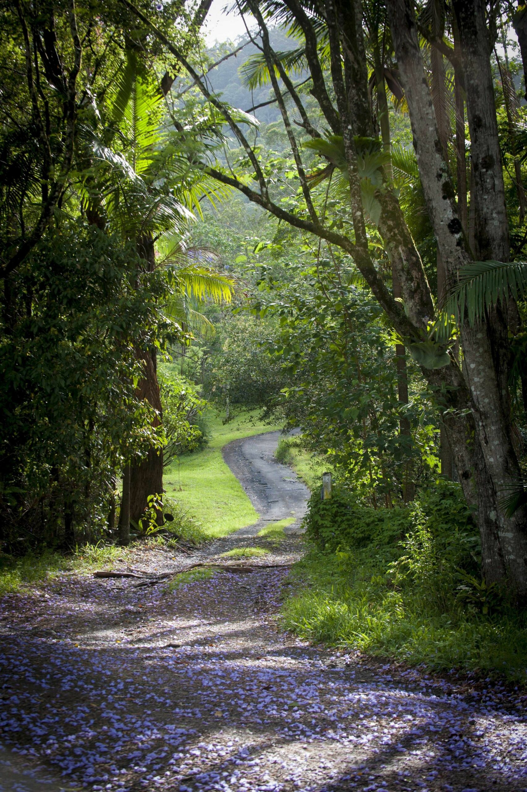 Nimbin Waterfall Retreat