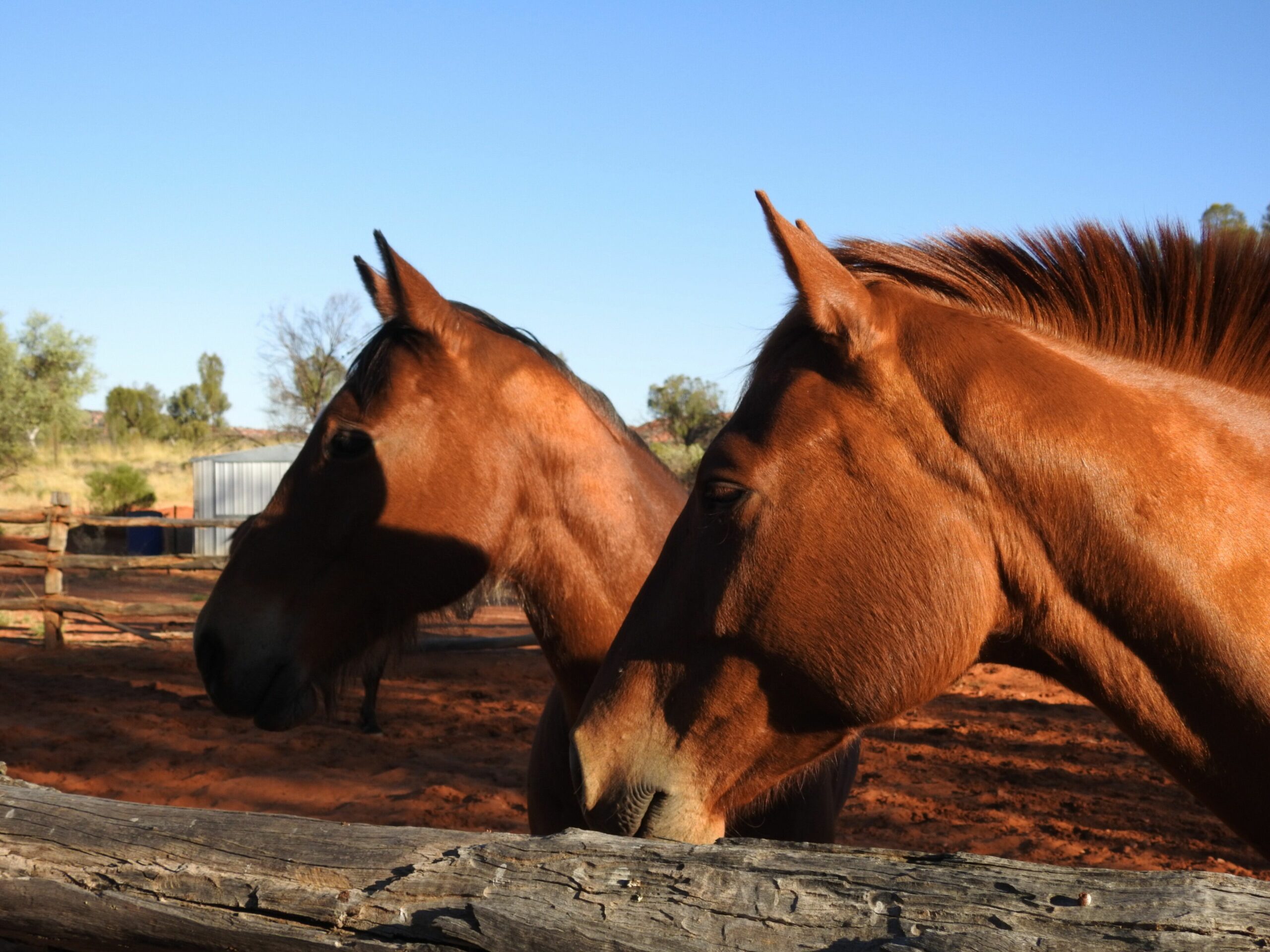 Ooraminna Station Homestead