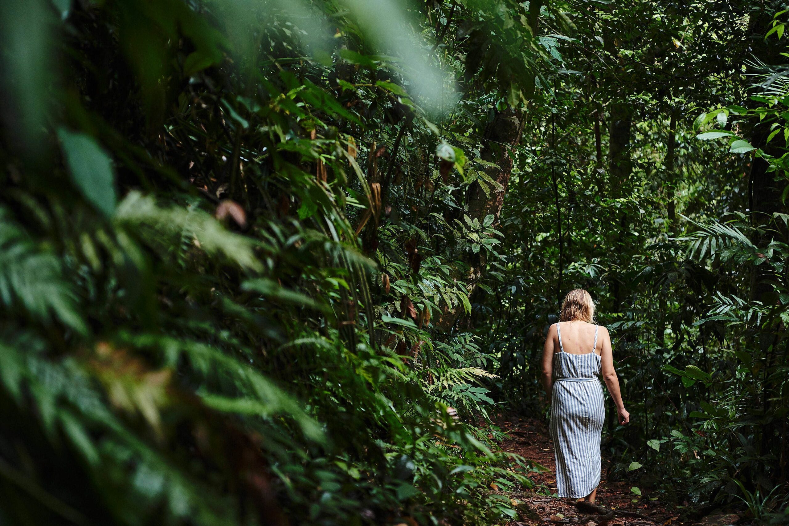 Daintree Ecolodge