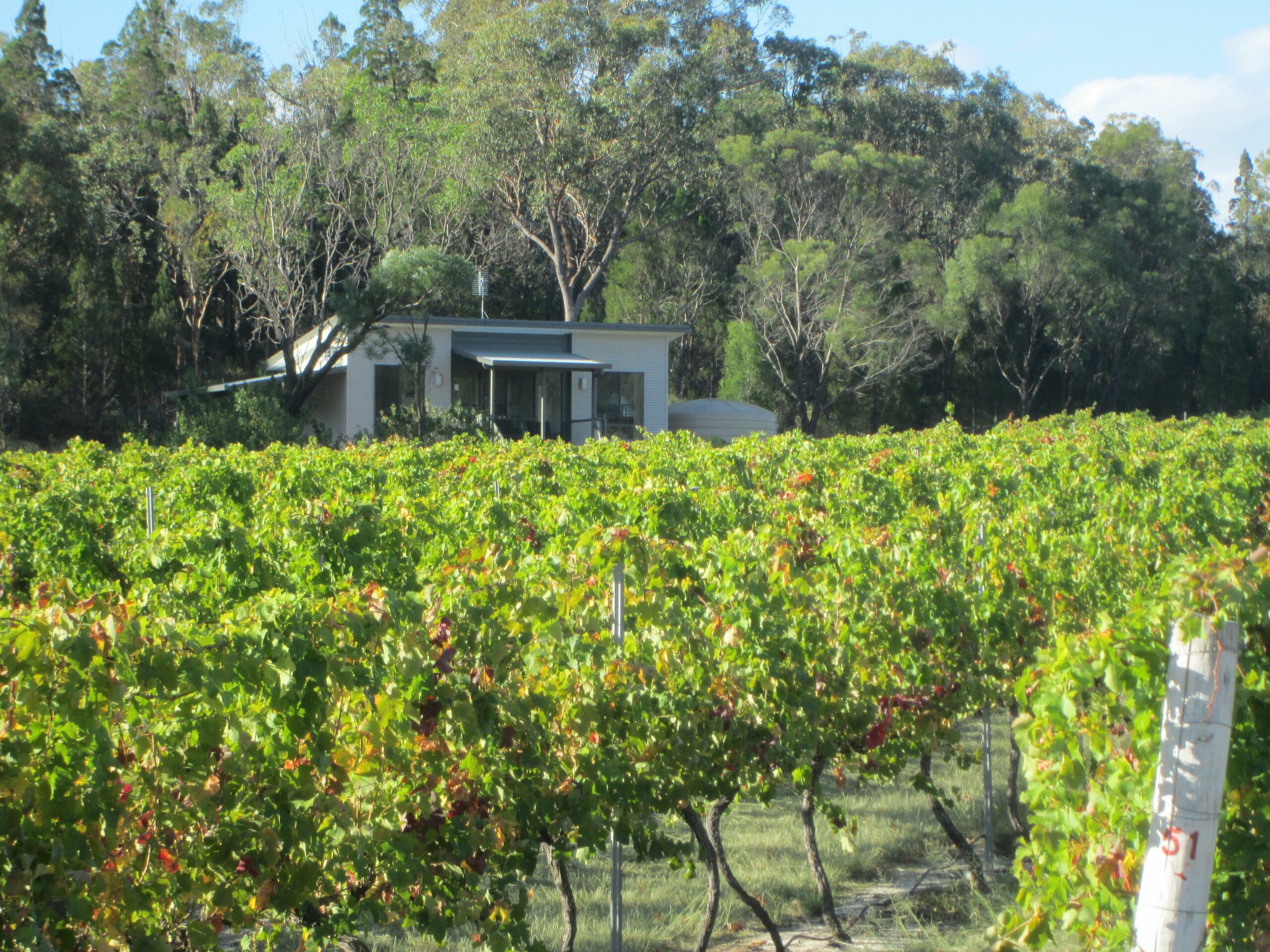 Just Red Wines Vineyard Cabins