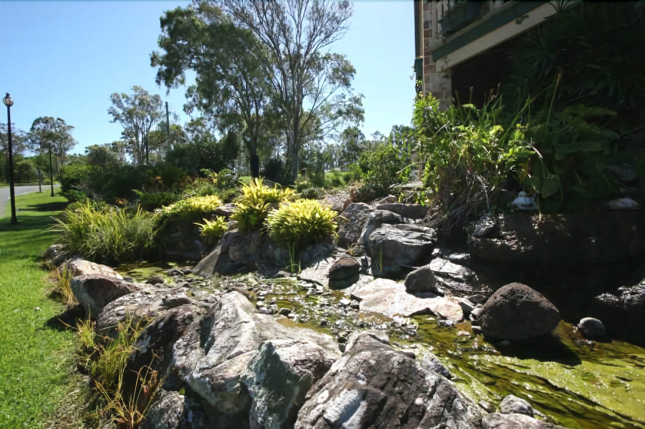 The Bearded Dragon Boutique Hotel