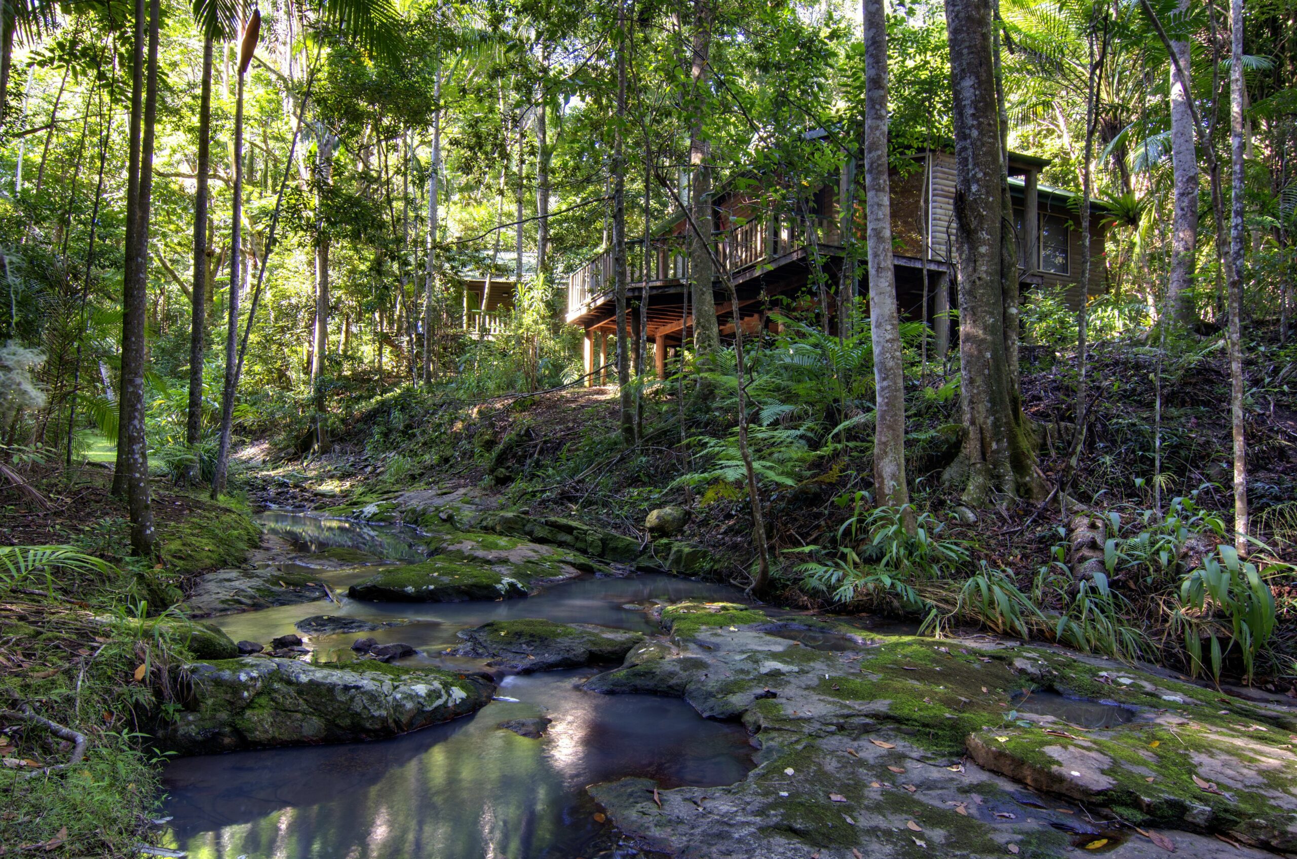 Narrows Escape Rainforest Retreat