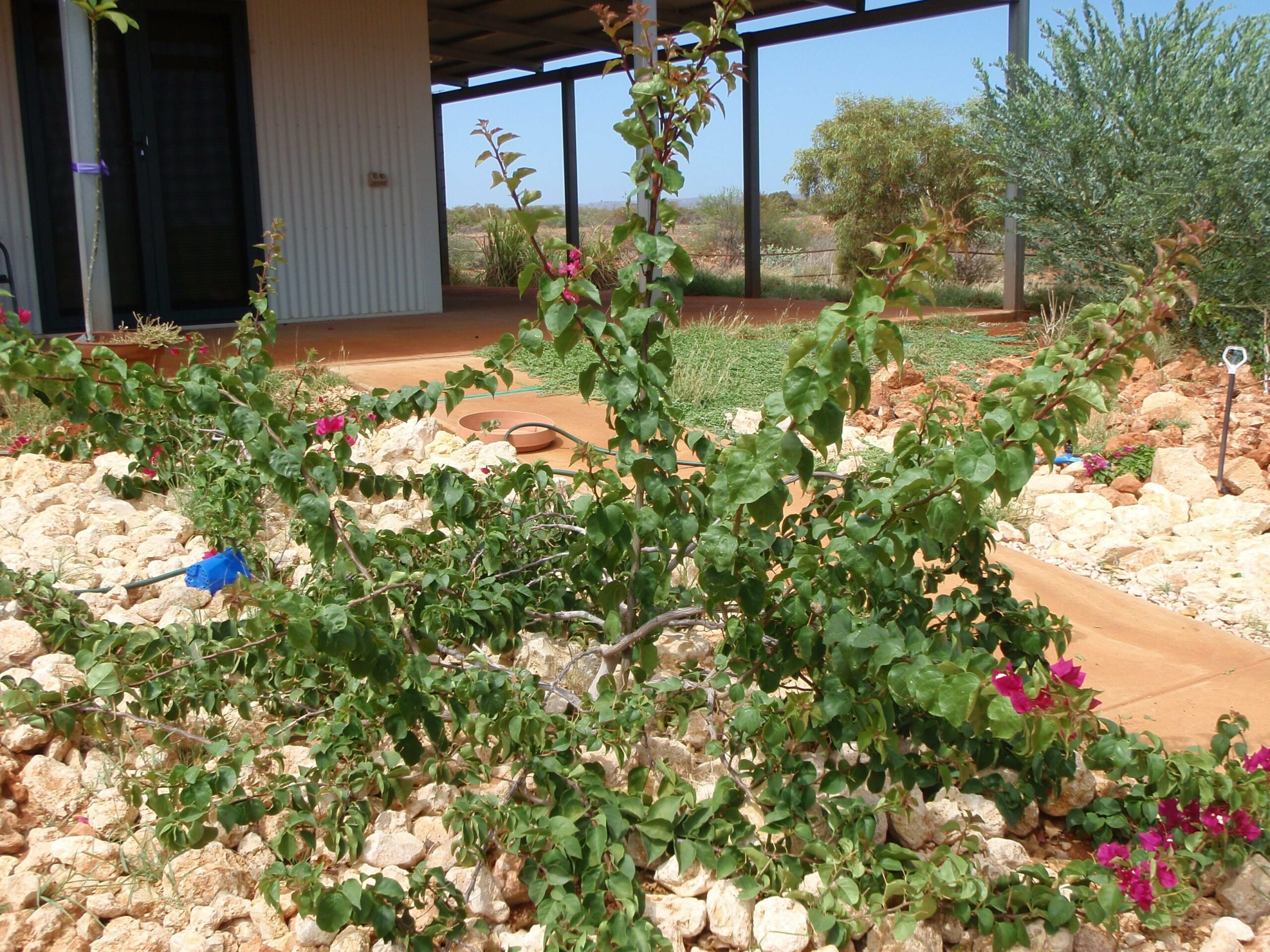 Ningaloo Bed and Breakfast