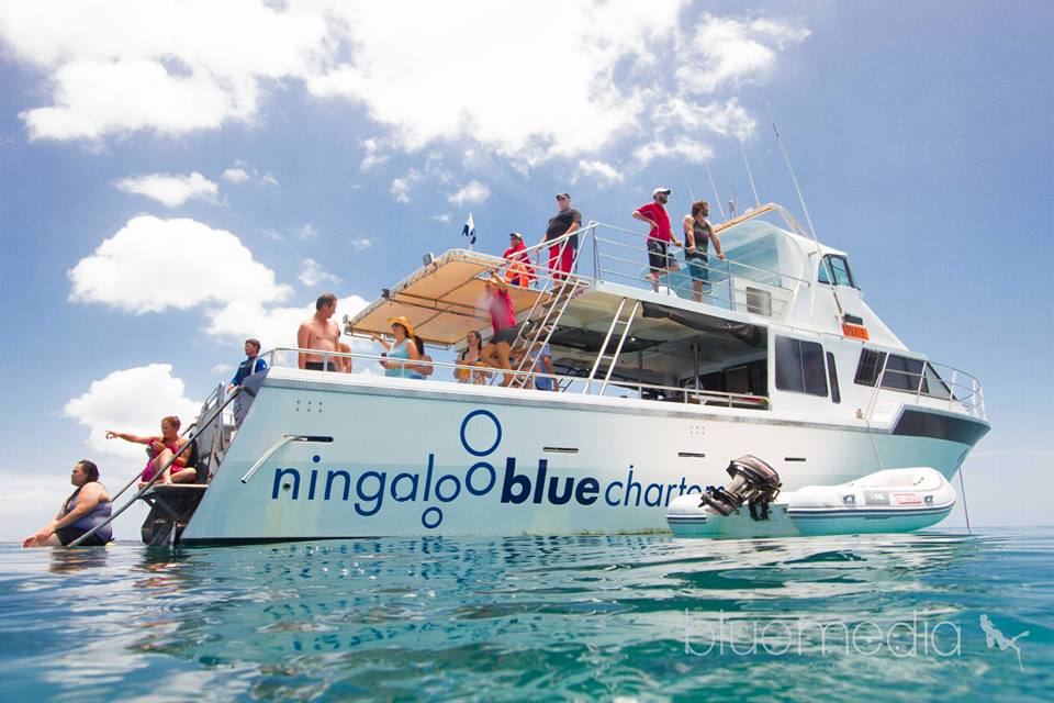 Private luxury tour, exploring the reef at your own pace – all year round. Please contact us for a price