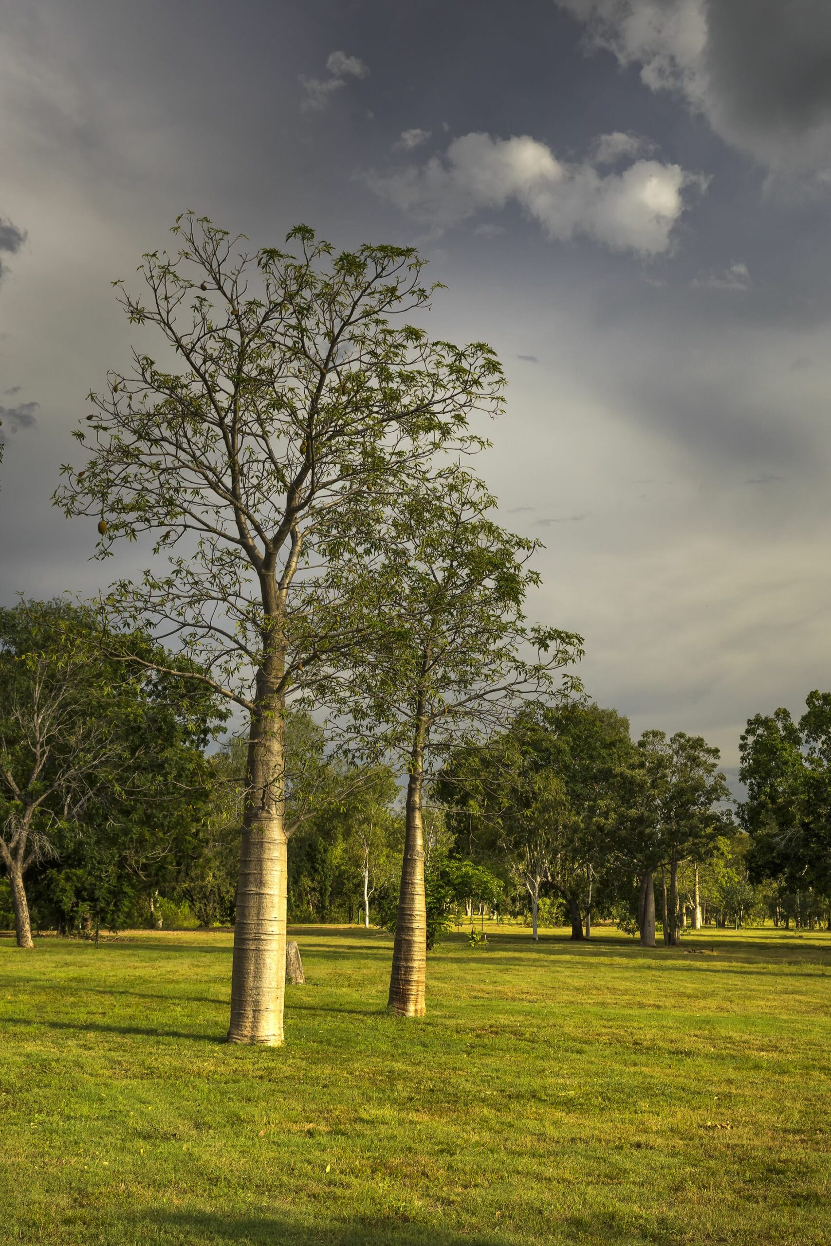 Parry Creek Farm Tourist Resort & Caravan Park