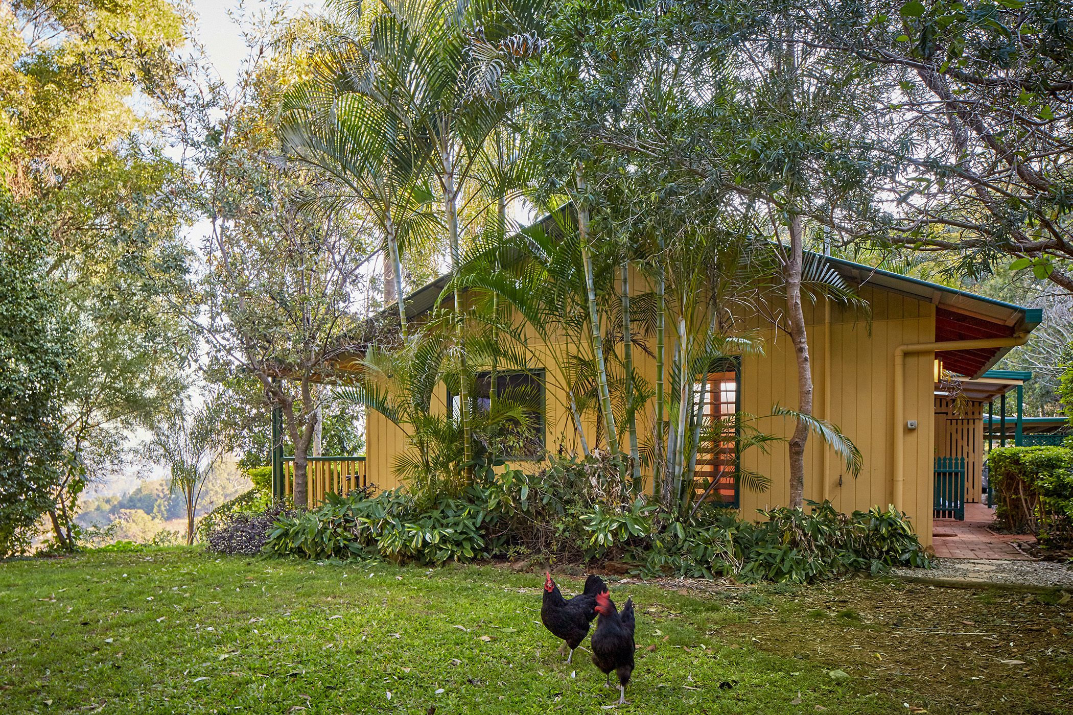 Dayboro Cottages & Llama Walks