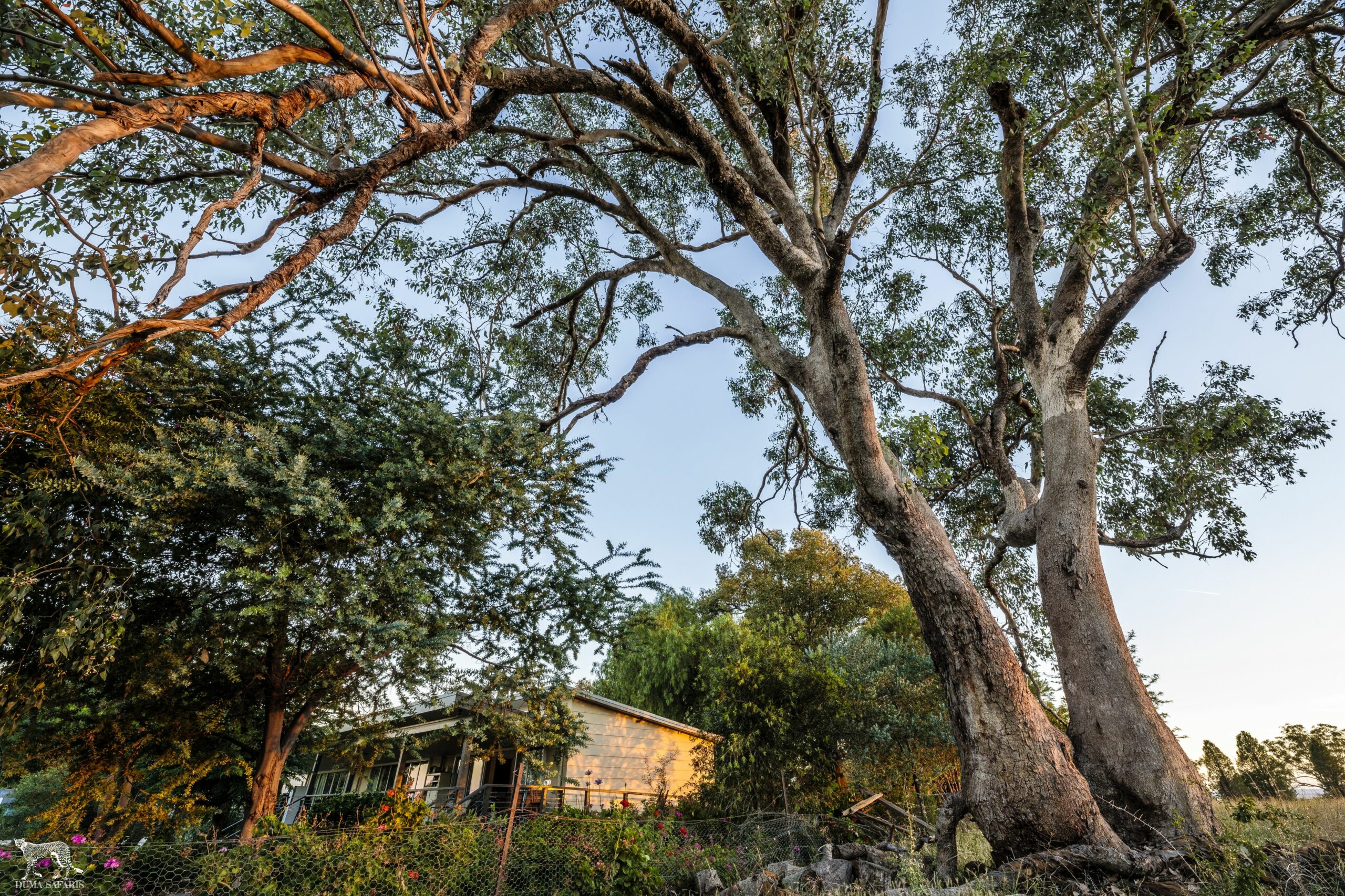 Bulwarra Accommodation - Heritage Studio