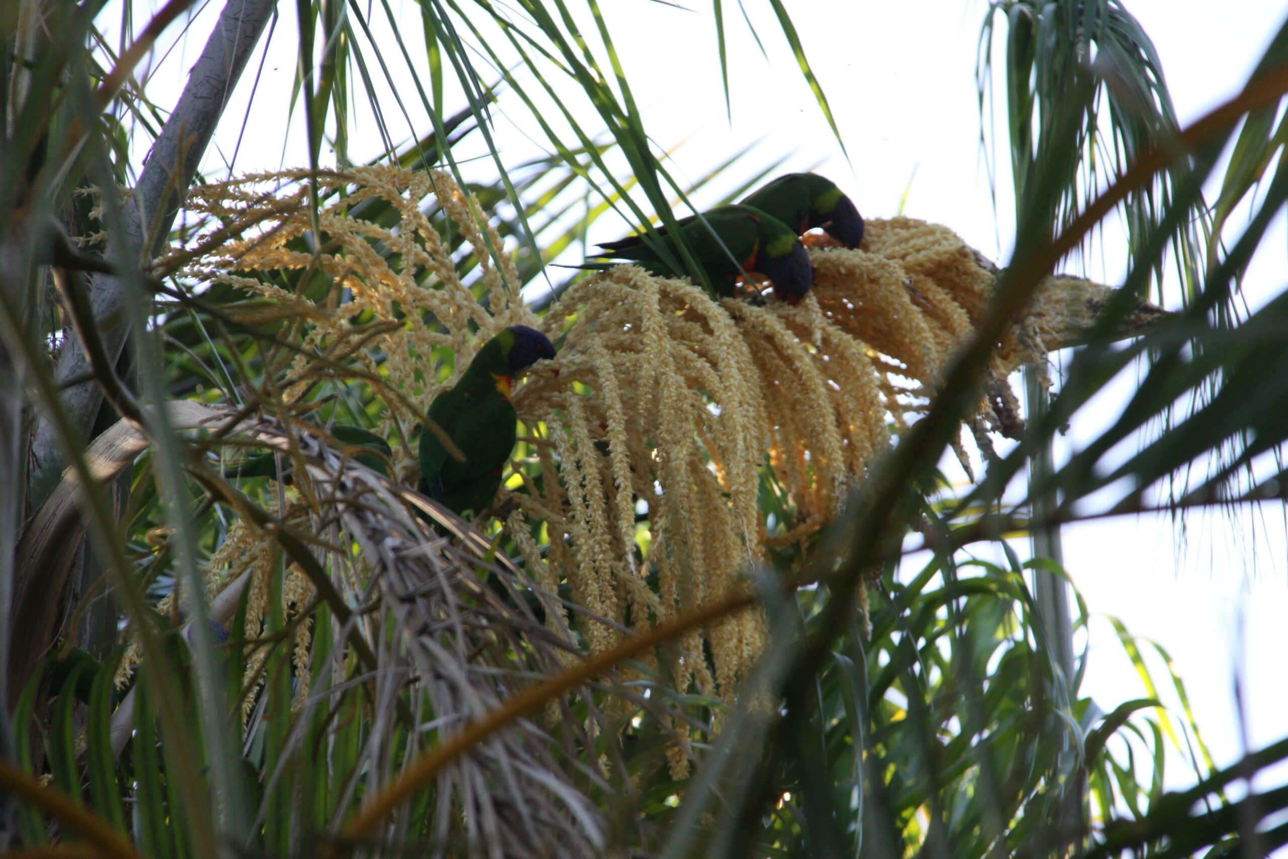 Paperbark Bed & Breakfast