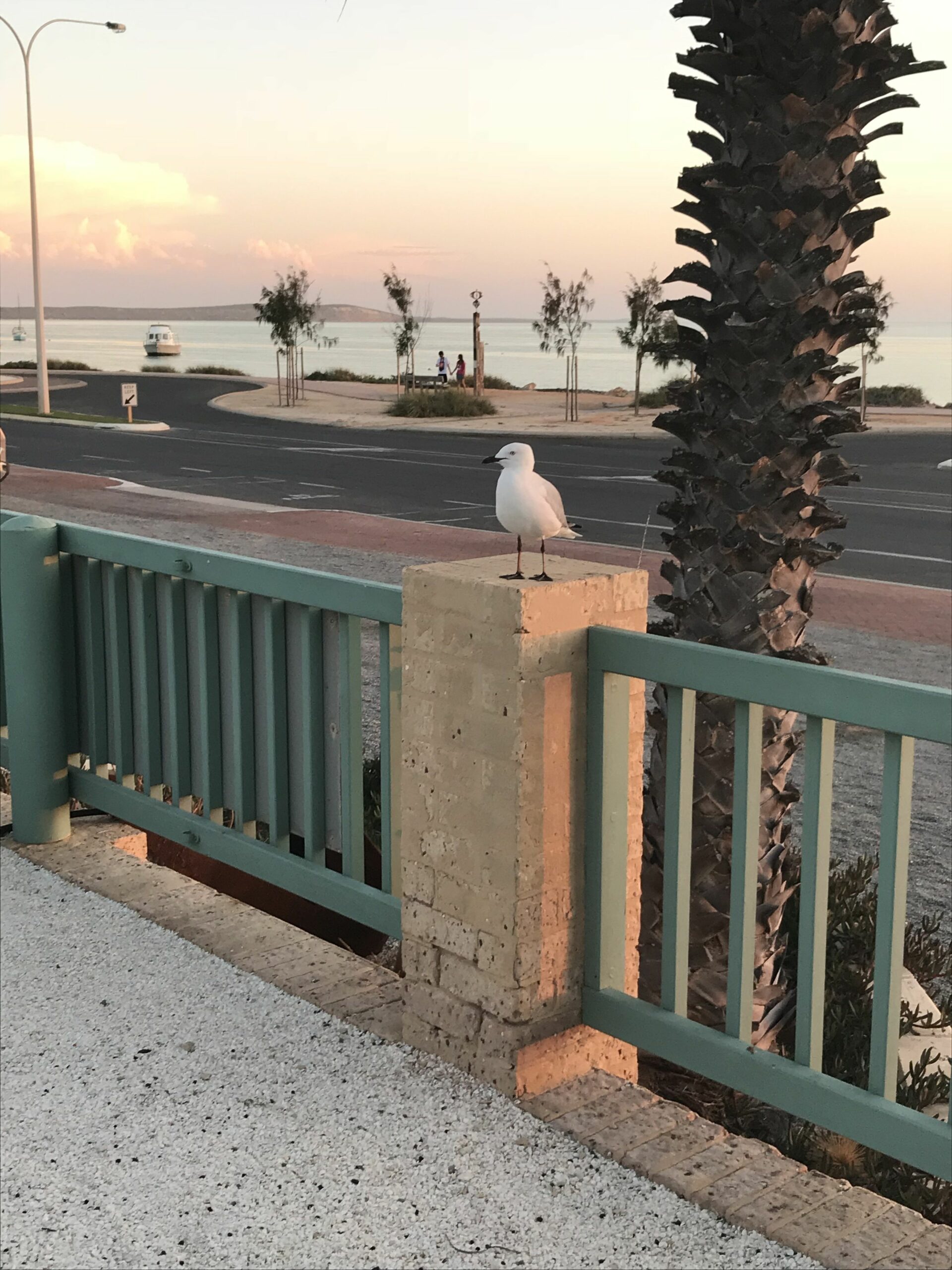 Shark Bay Seafront Apartments