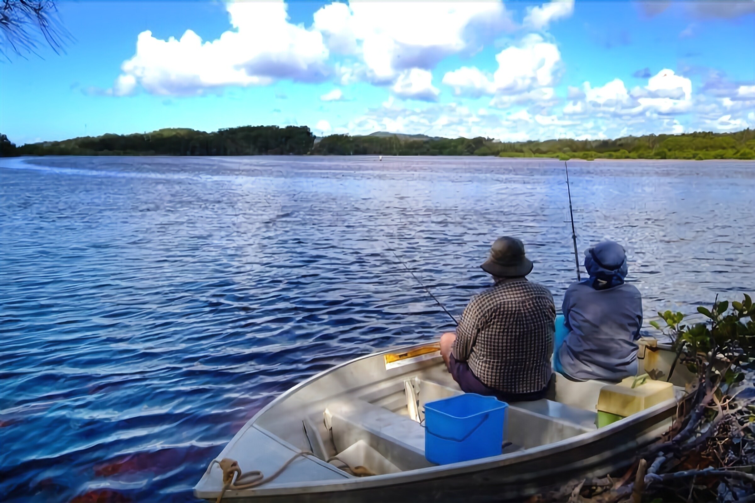 Wooli River Lodges