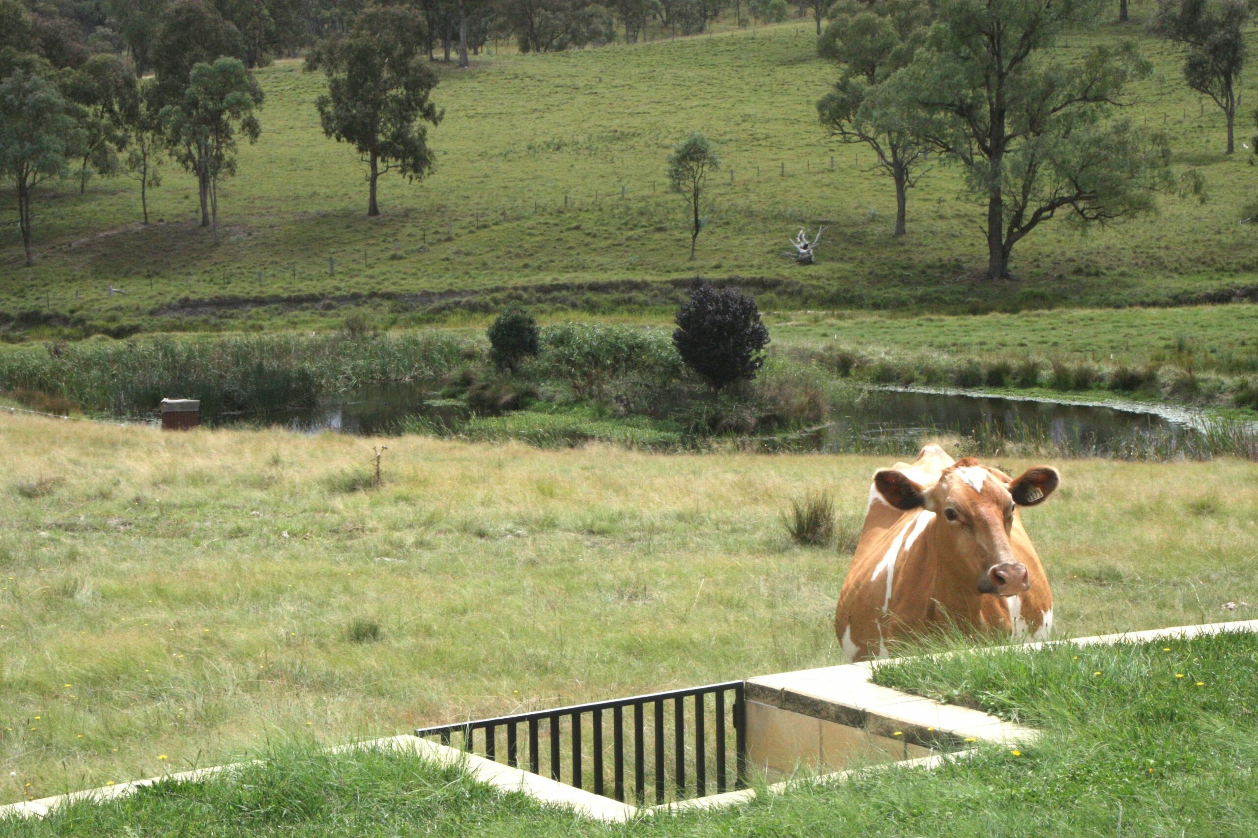 Donegal Farmstay