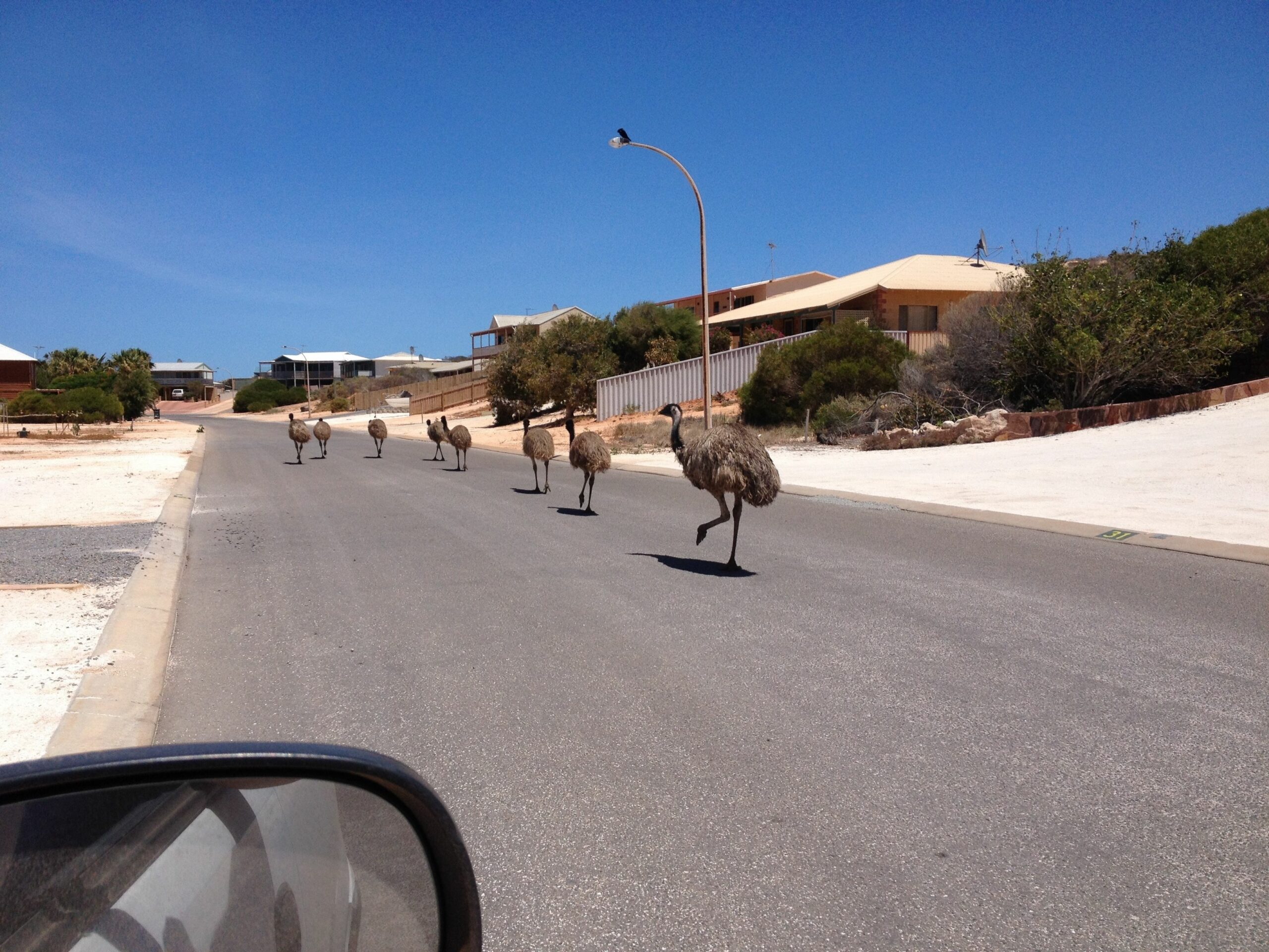 Shark Bay B&B