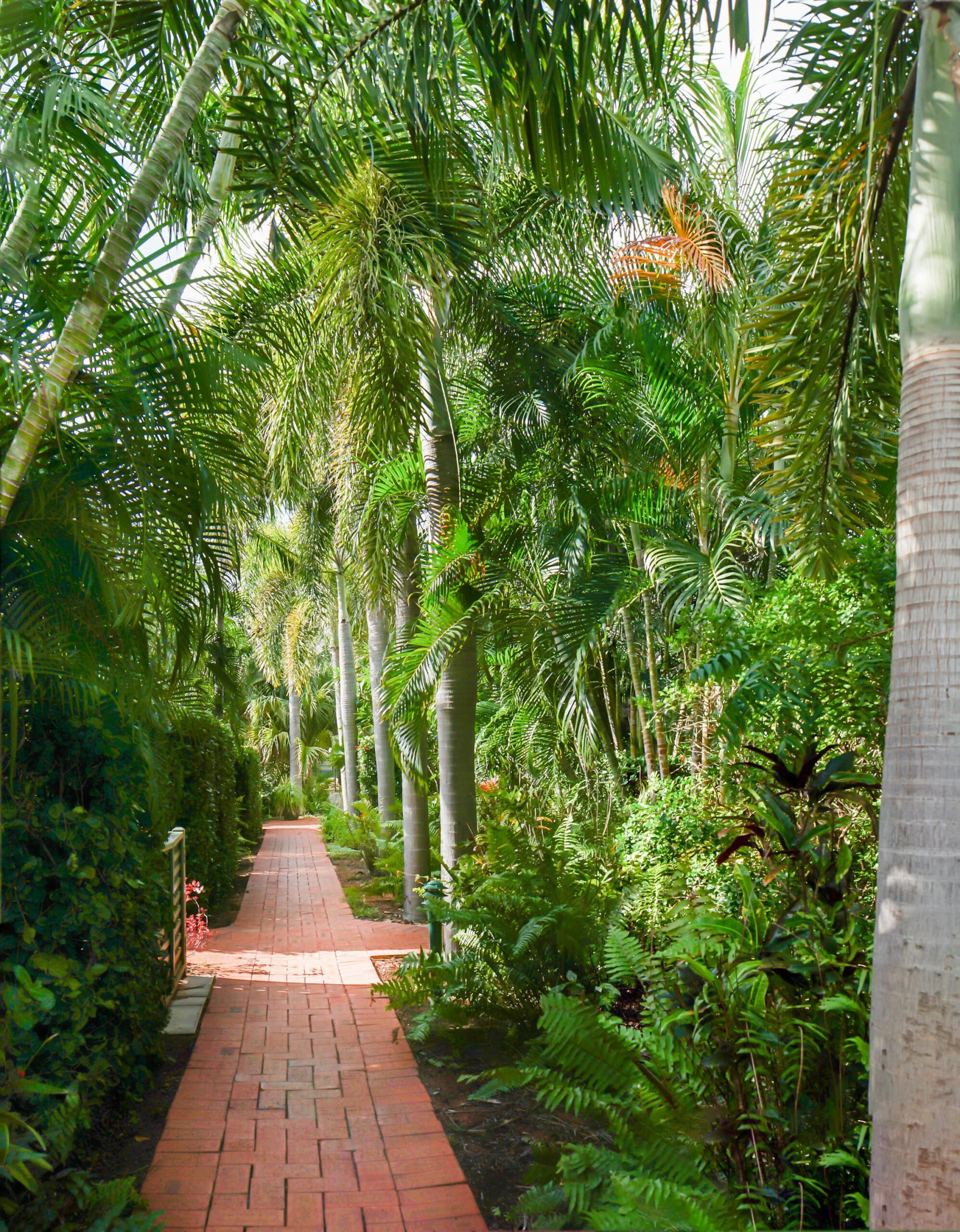 Cable Beachside Villas