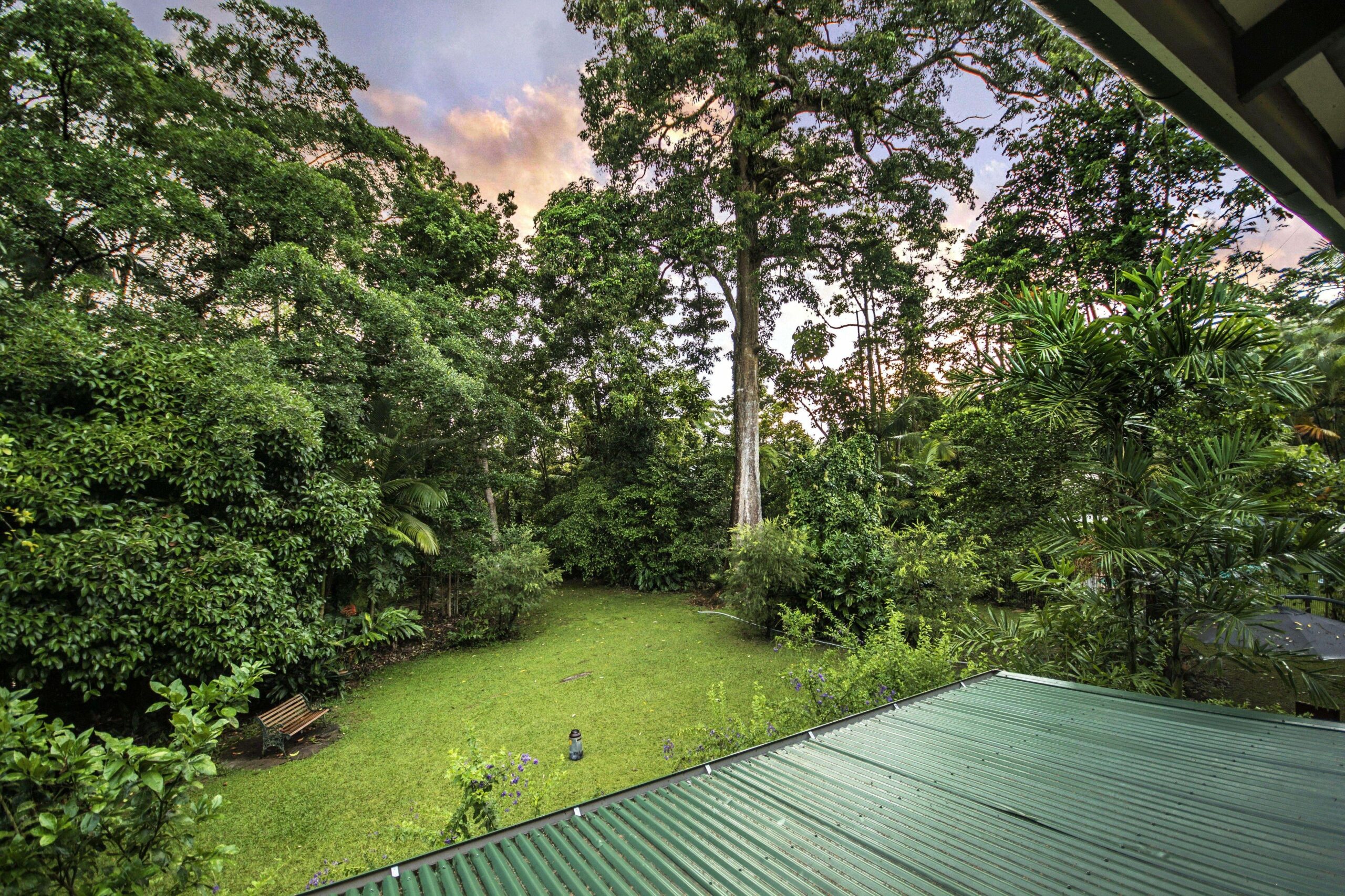 Red Mill House in Daintree