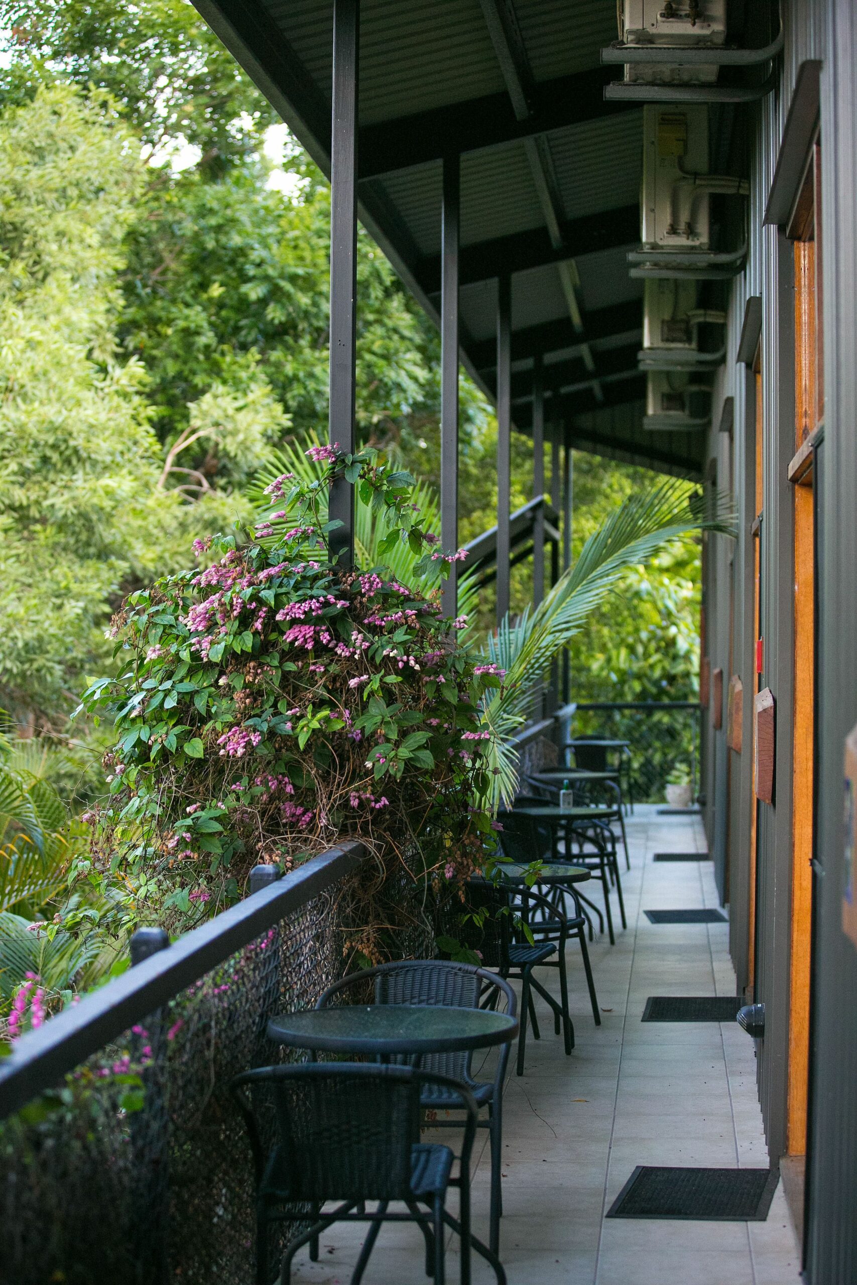 Daintree Wild Zoo & Bed and Breakfast