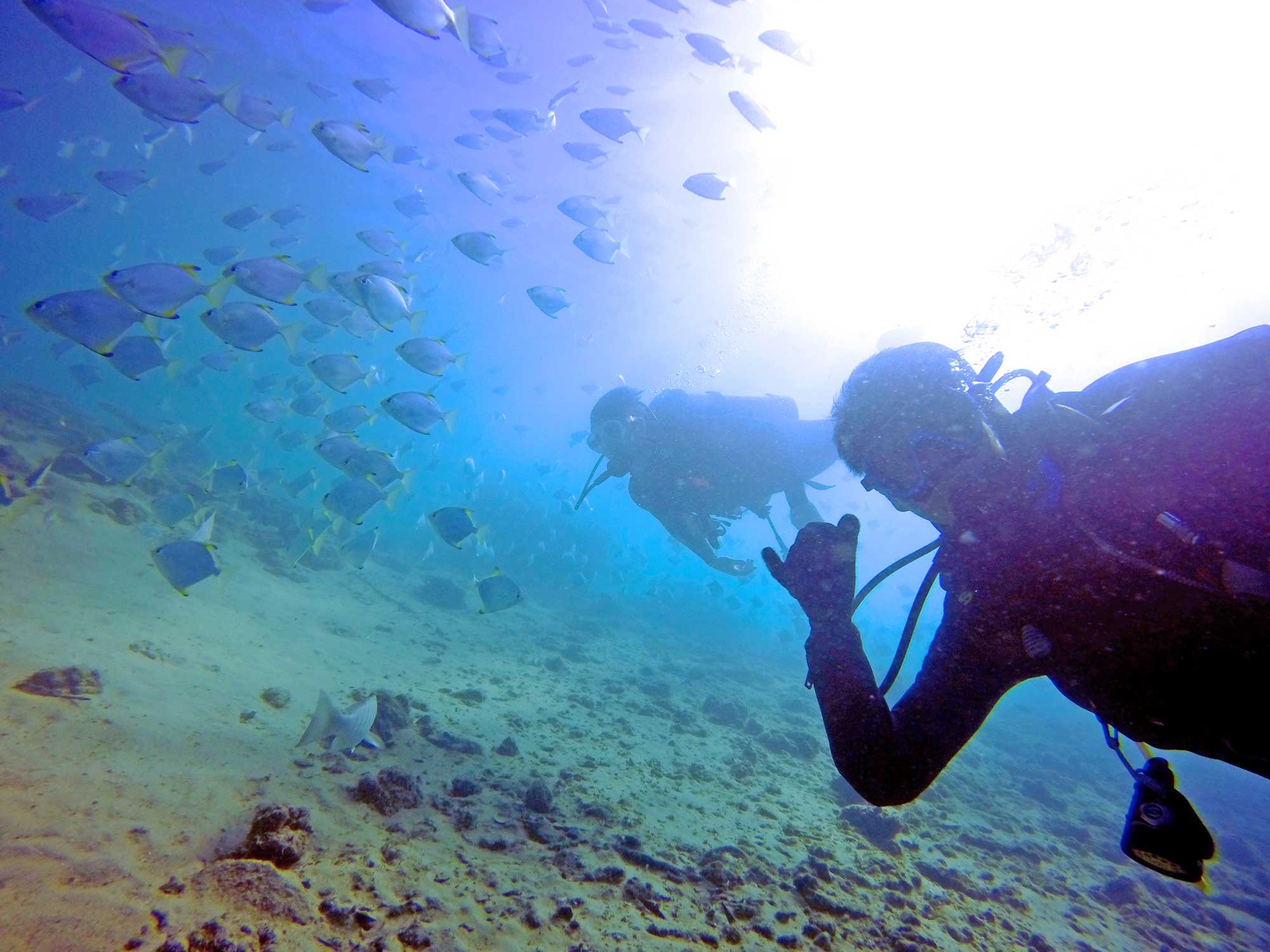 PADI Open Water Course