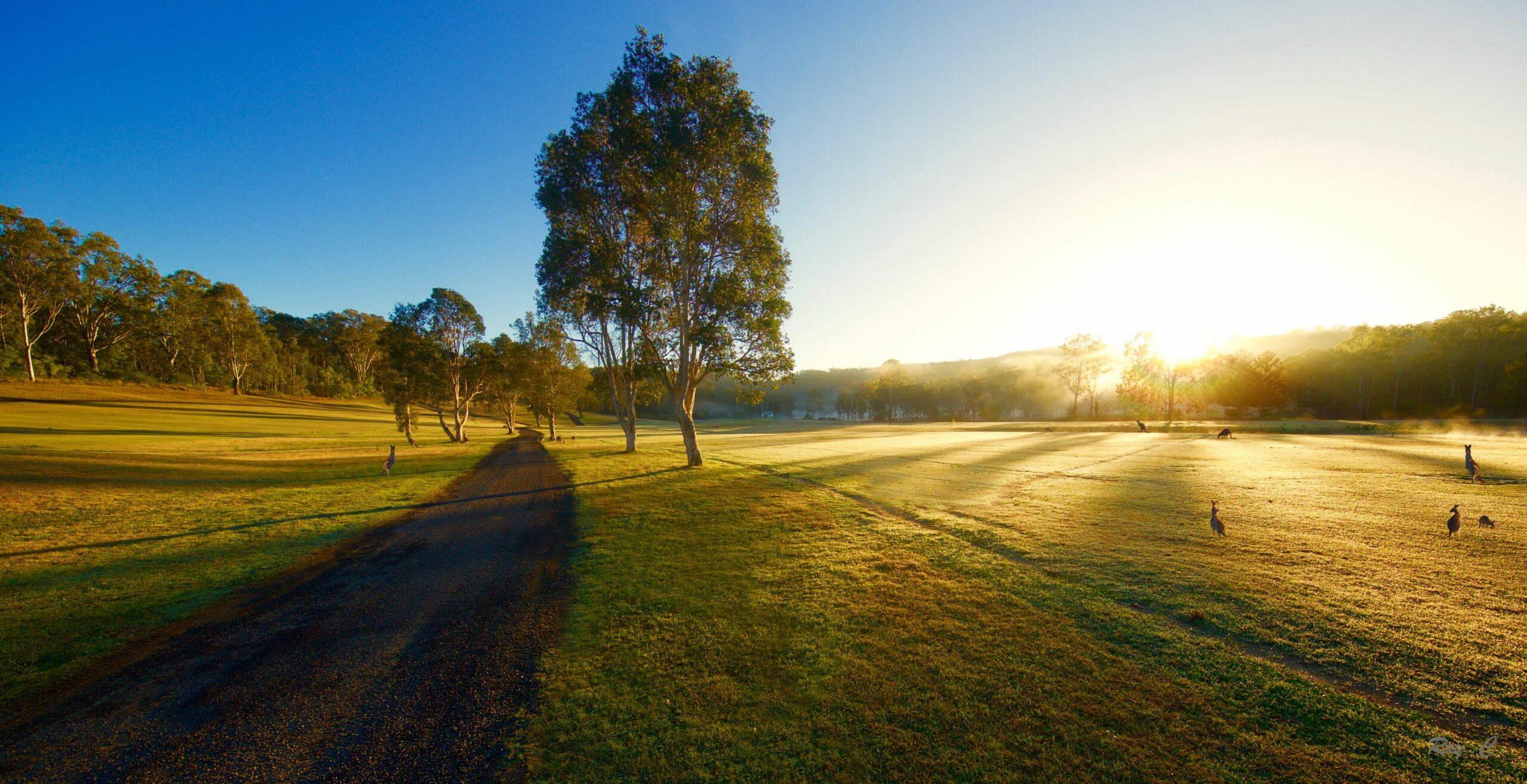 The Kooralbyn Valley