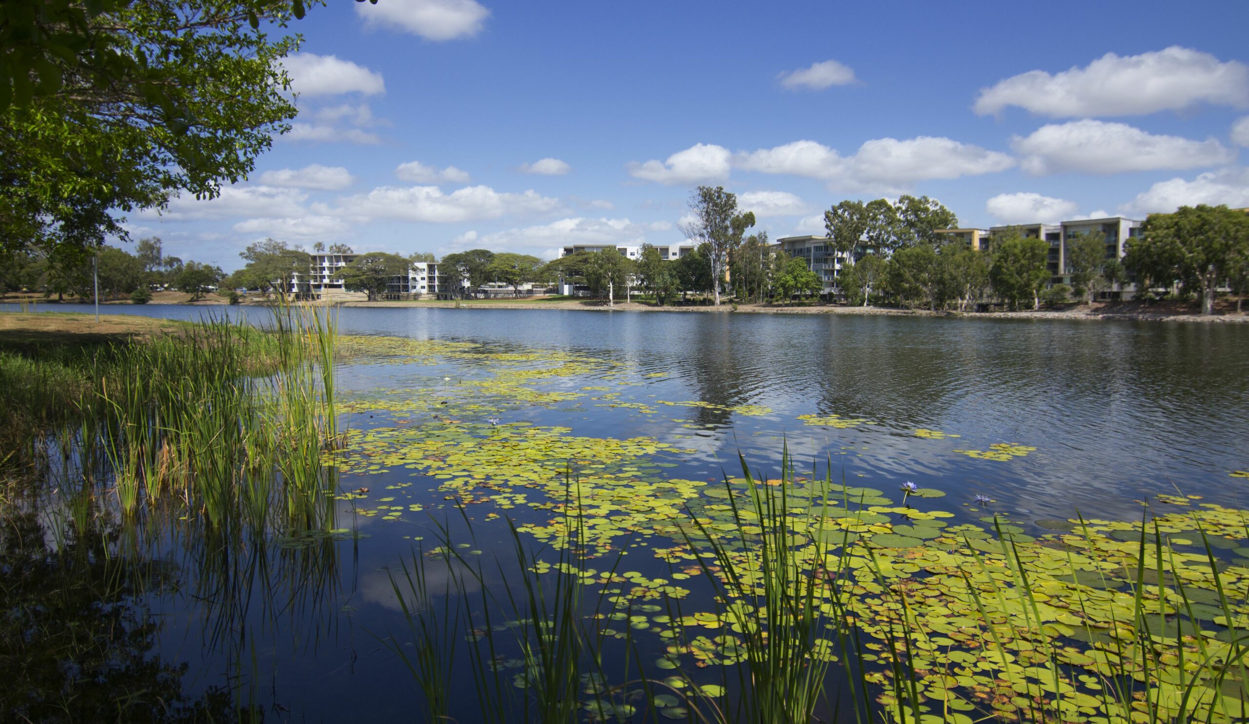 Jacana Apartments