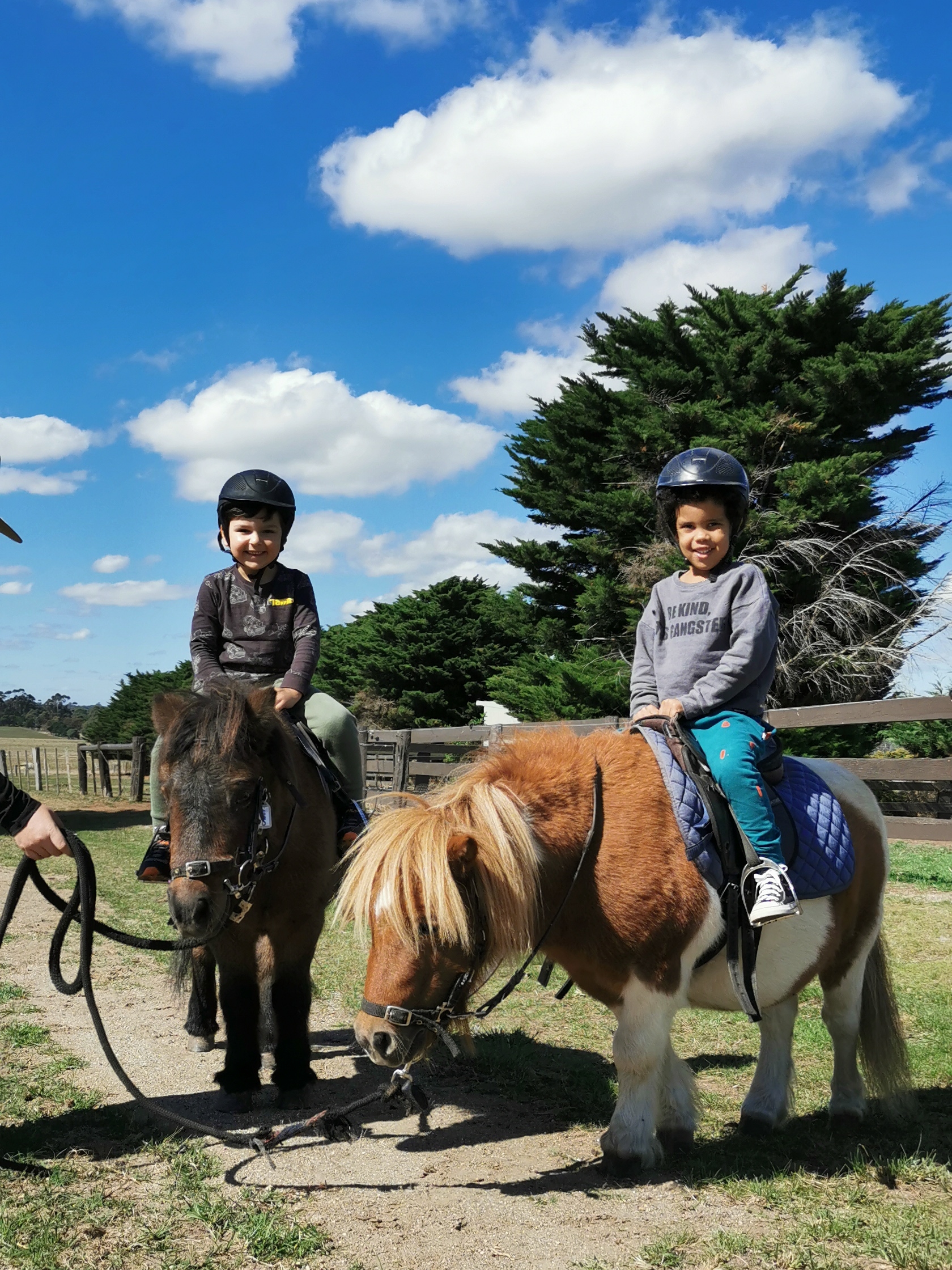 Pony Party – 1.5 Hours – Woodlands Lodge