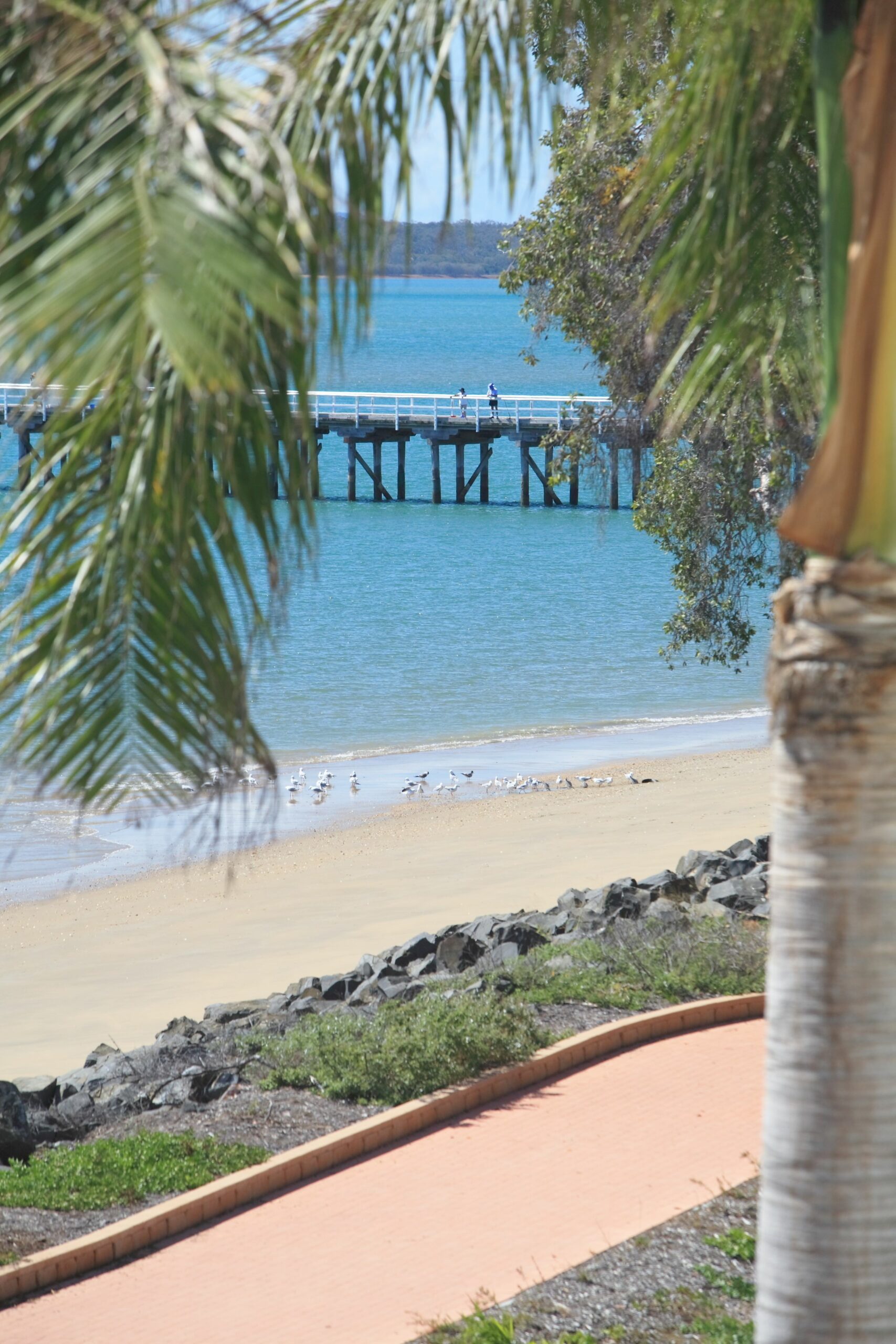 Santalina On Hervey Bay