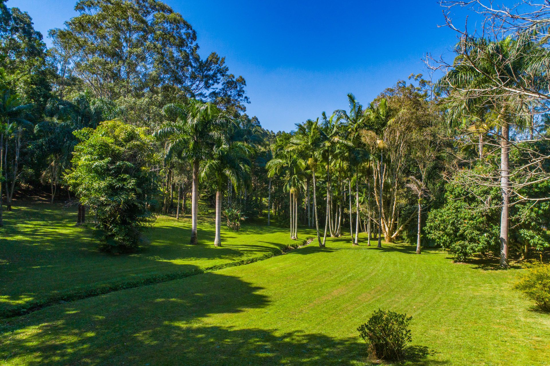 Brookbank - Byron hinterland estate