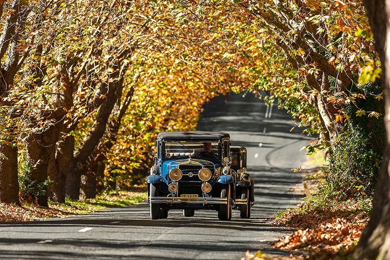 Blue Mountains Vintage Cadillac High Tea Private Tour in Luxury Caprice Chauffeured Limousine 3 Hour experience.