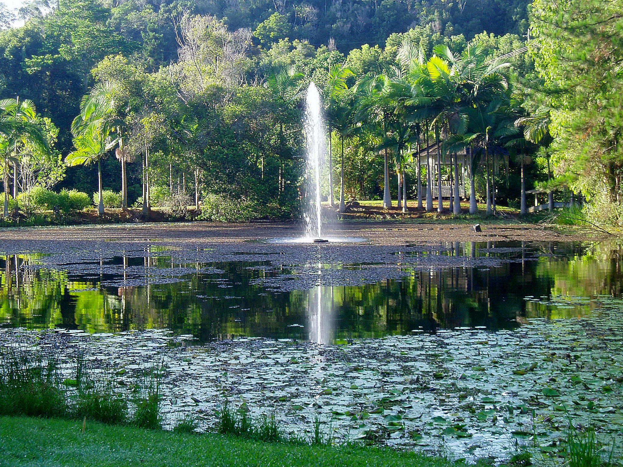 Mt Warning Rainforest Retreat