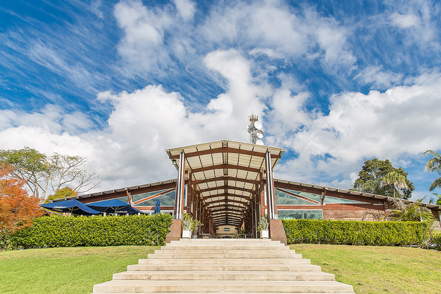 Half Day Mini Winery Tour - Local pickup from Mt Tamborine