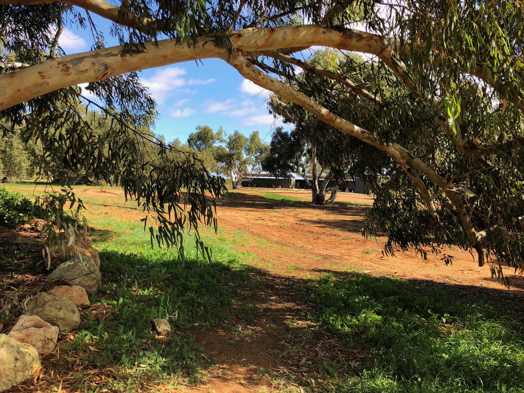 Wooramel Riverside Retreat Campground, Australia Australian