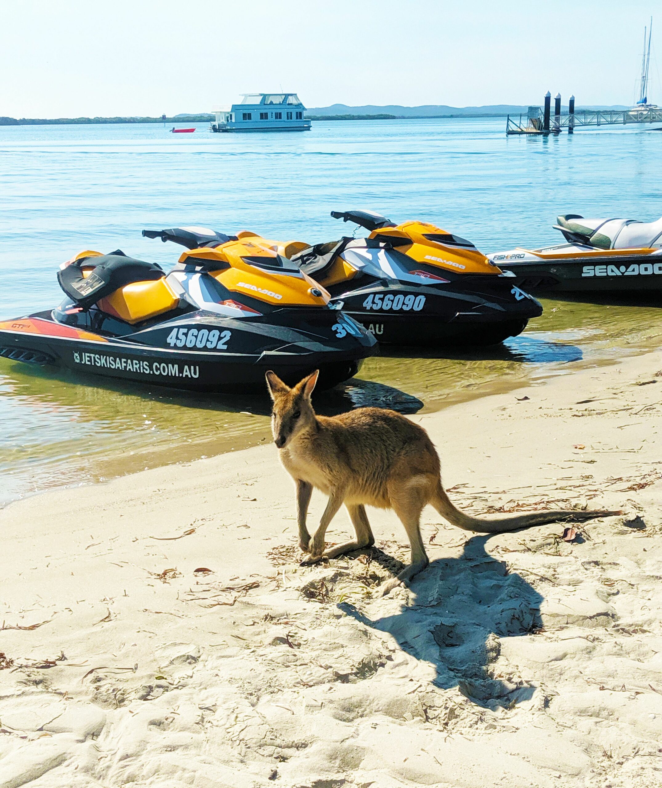 Breakfast Safari with extended Island stop – 1.5 Hour Jet Ski Safari