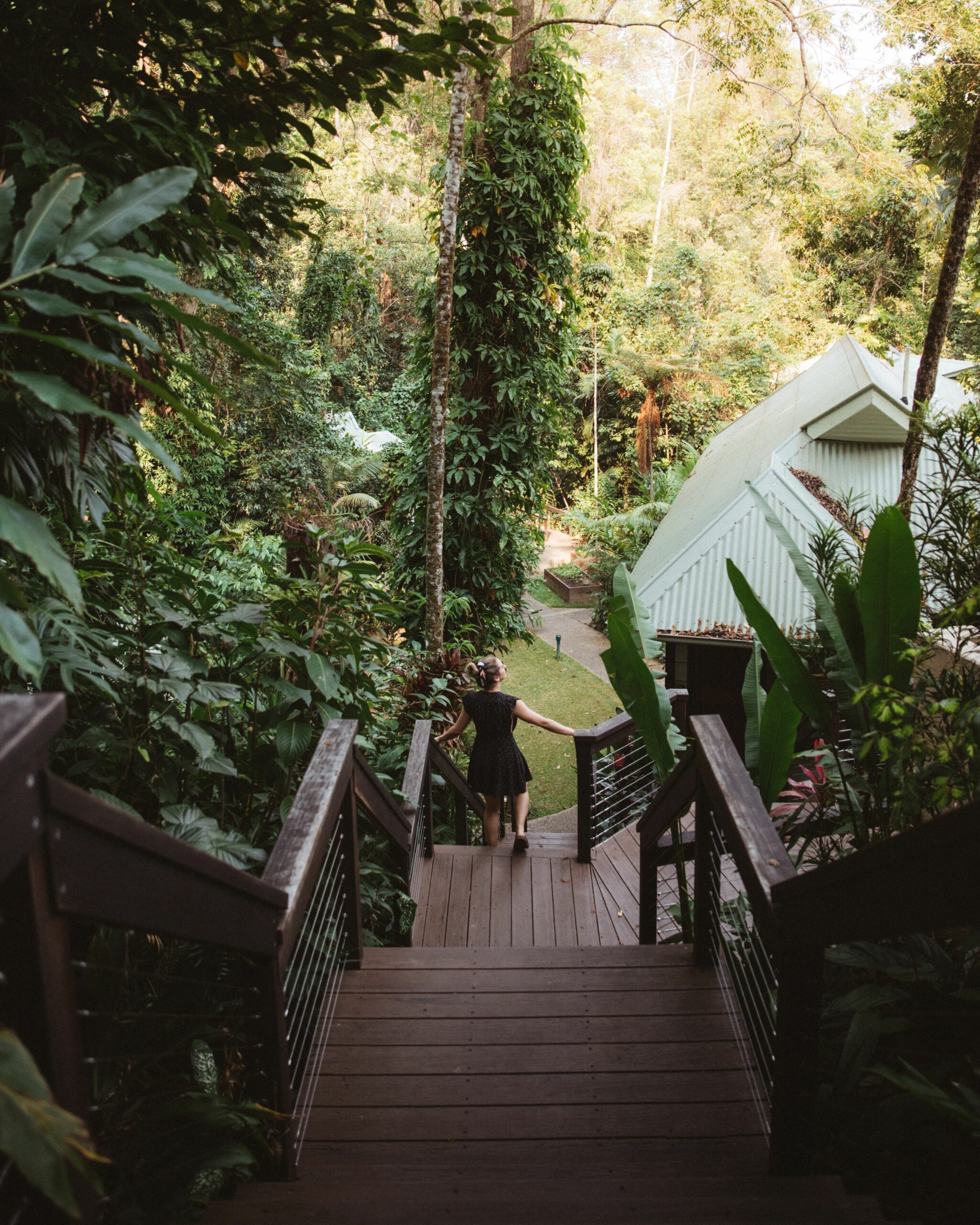 Daintree Ecolodge