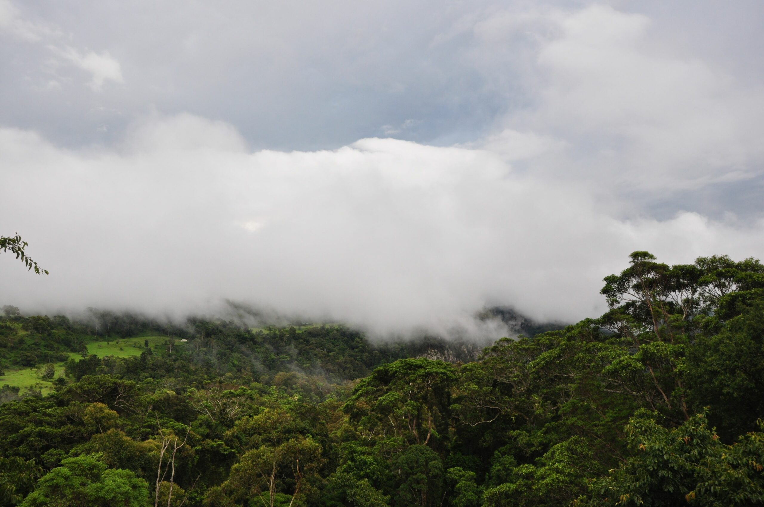 The Escarpment Retreat