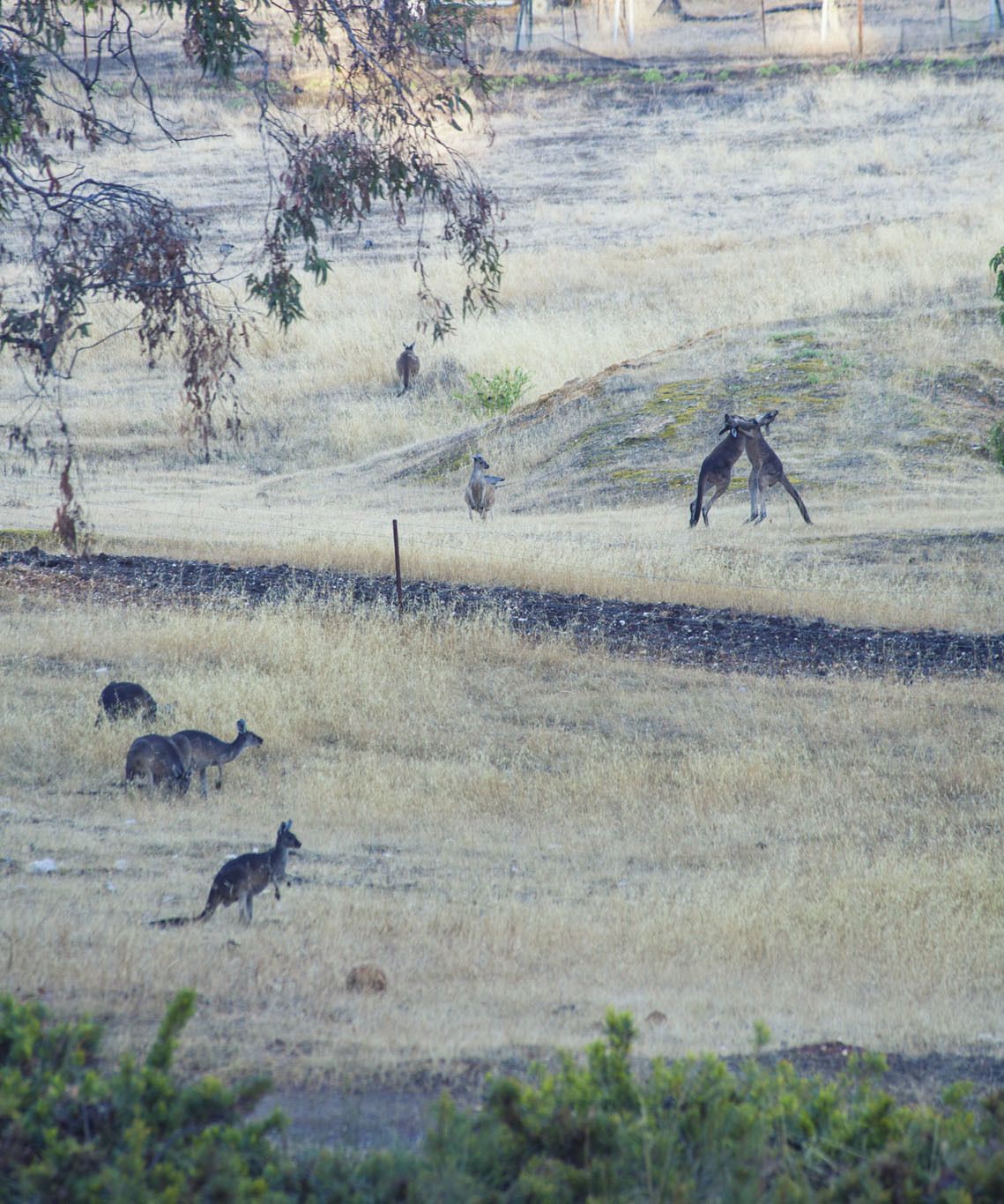 Moonburra Stay