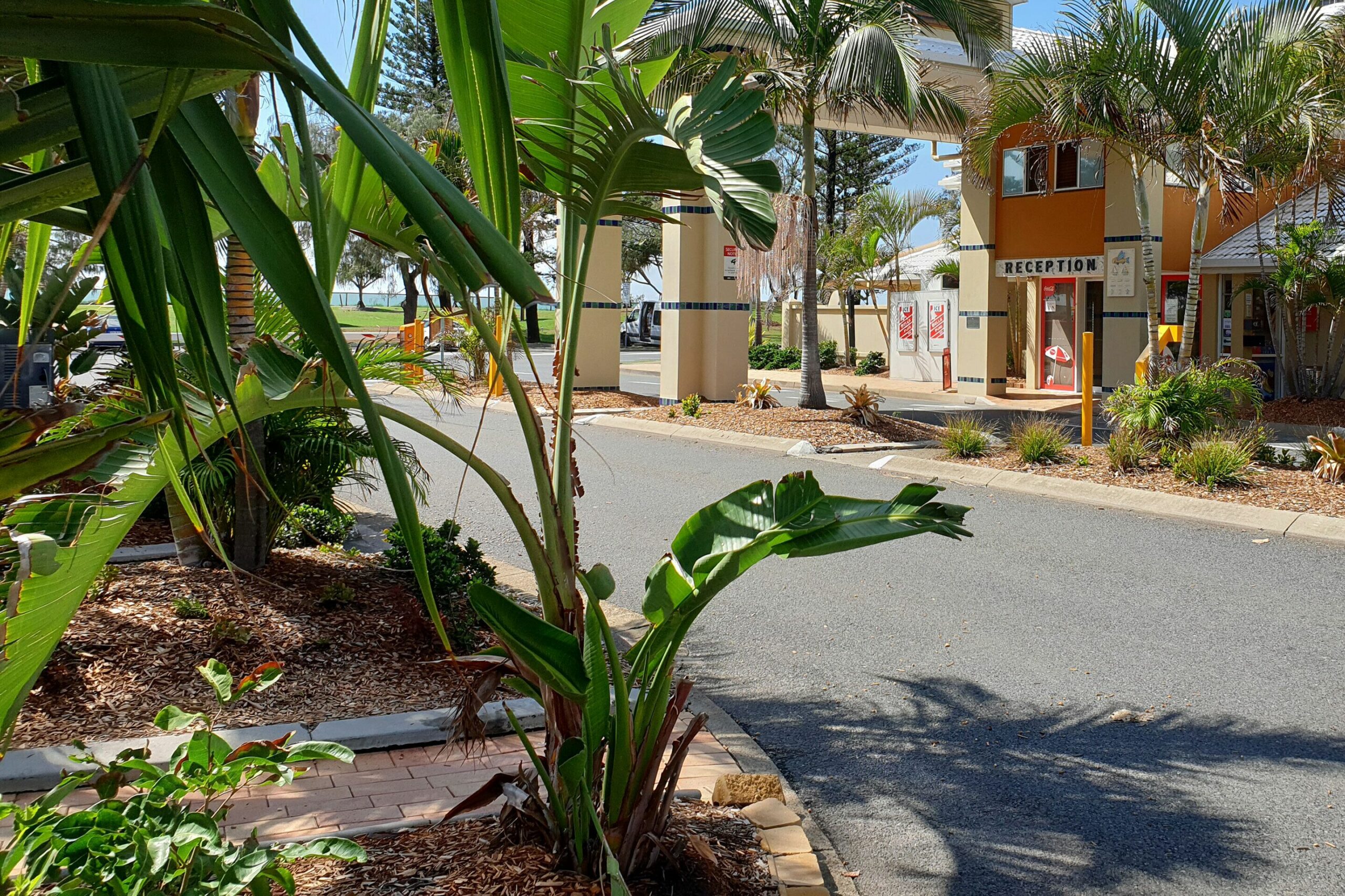 Main Beach Tourist Park