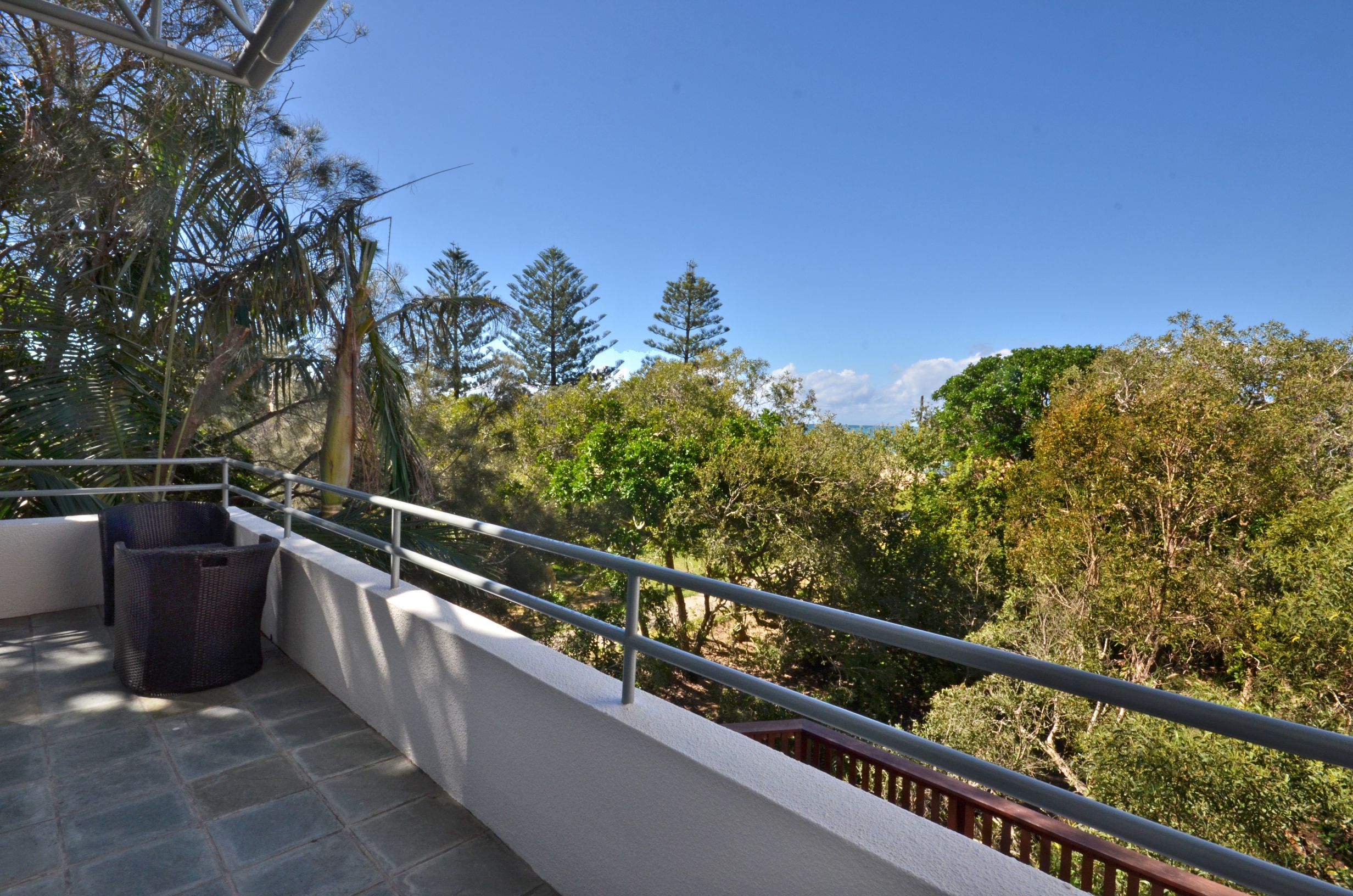 Raintrees on Moffat Beach