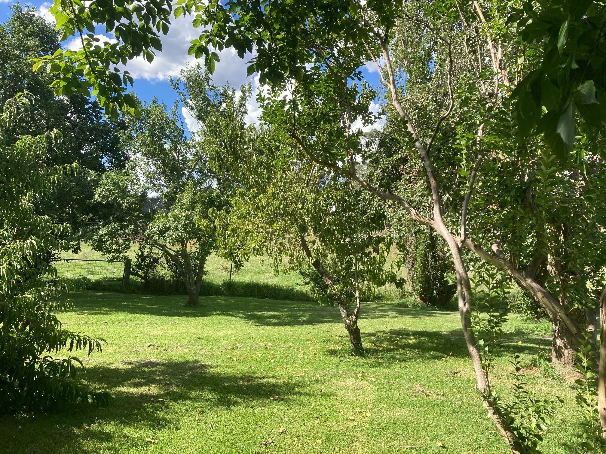 Private Farmhouse and garden