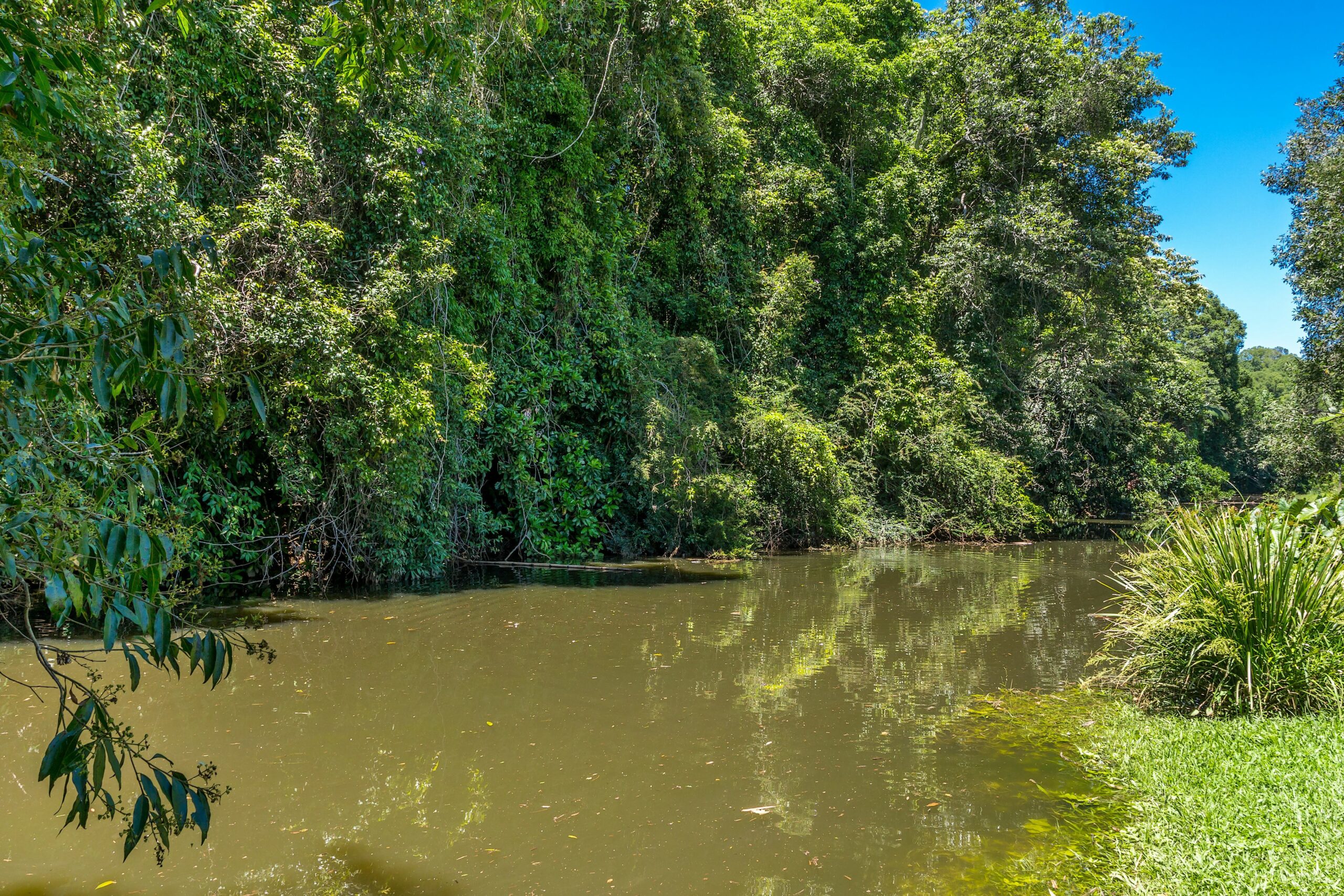 Baileys on Fernleigh