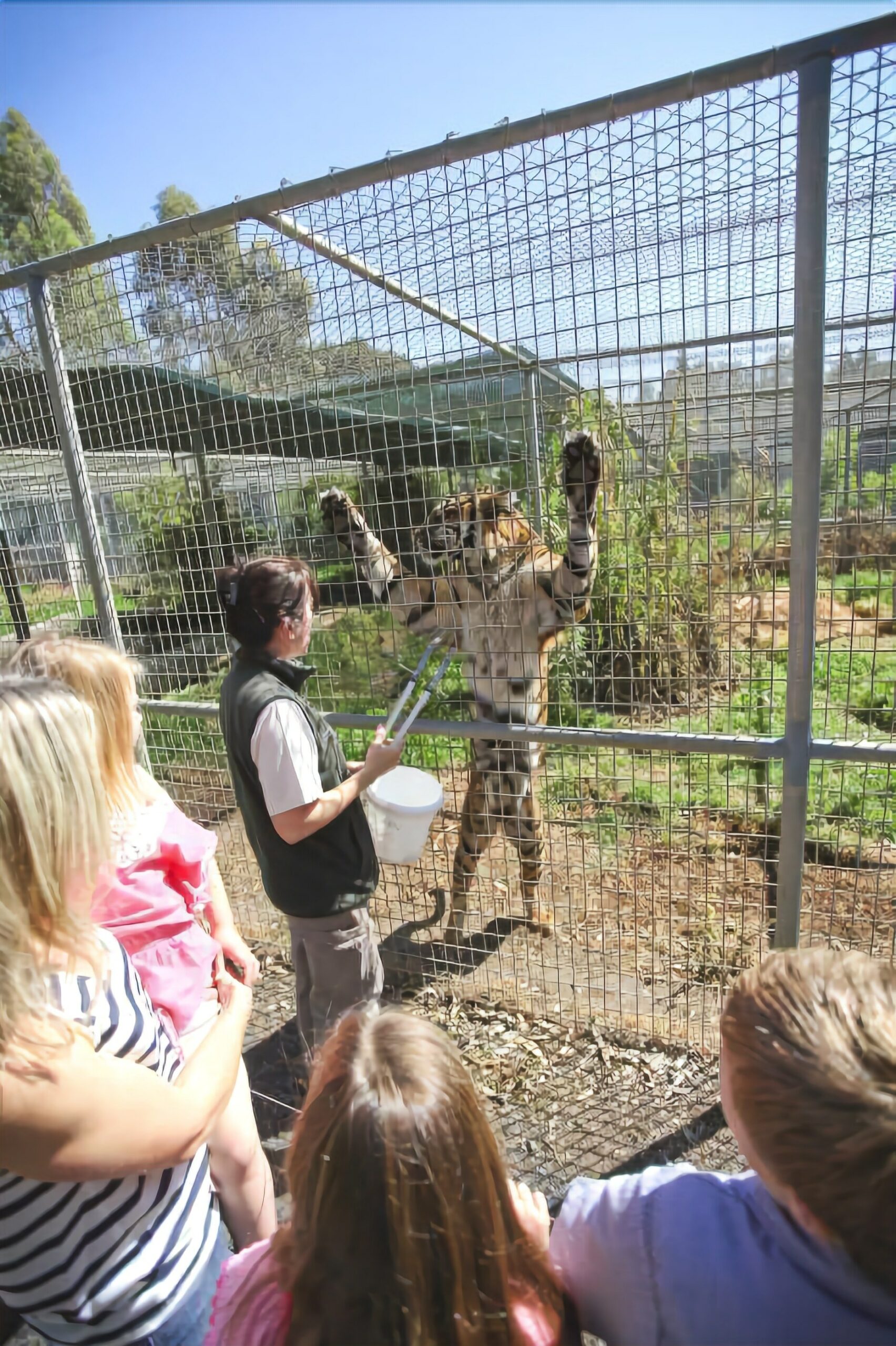 Billabong Camp at Taronga Western Plains