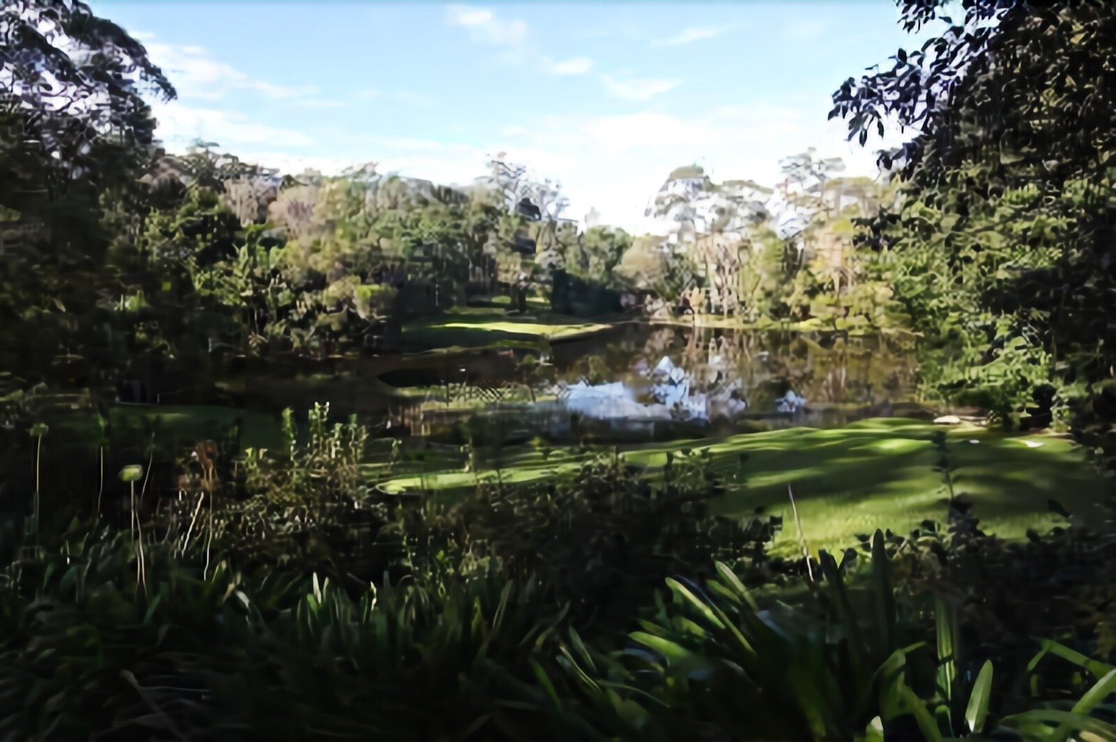 Montville Country Cabins