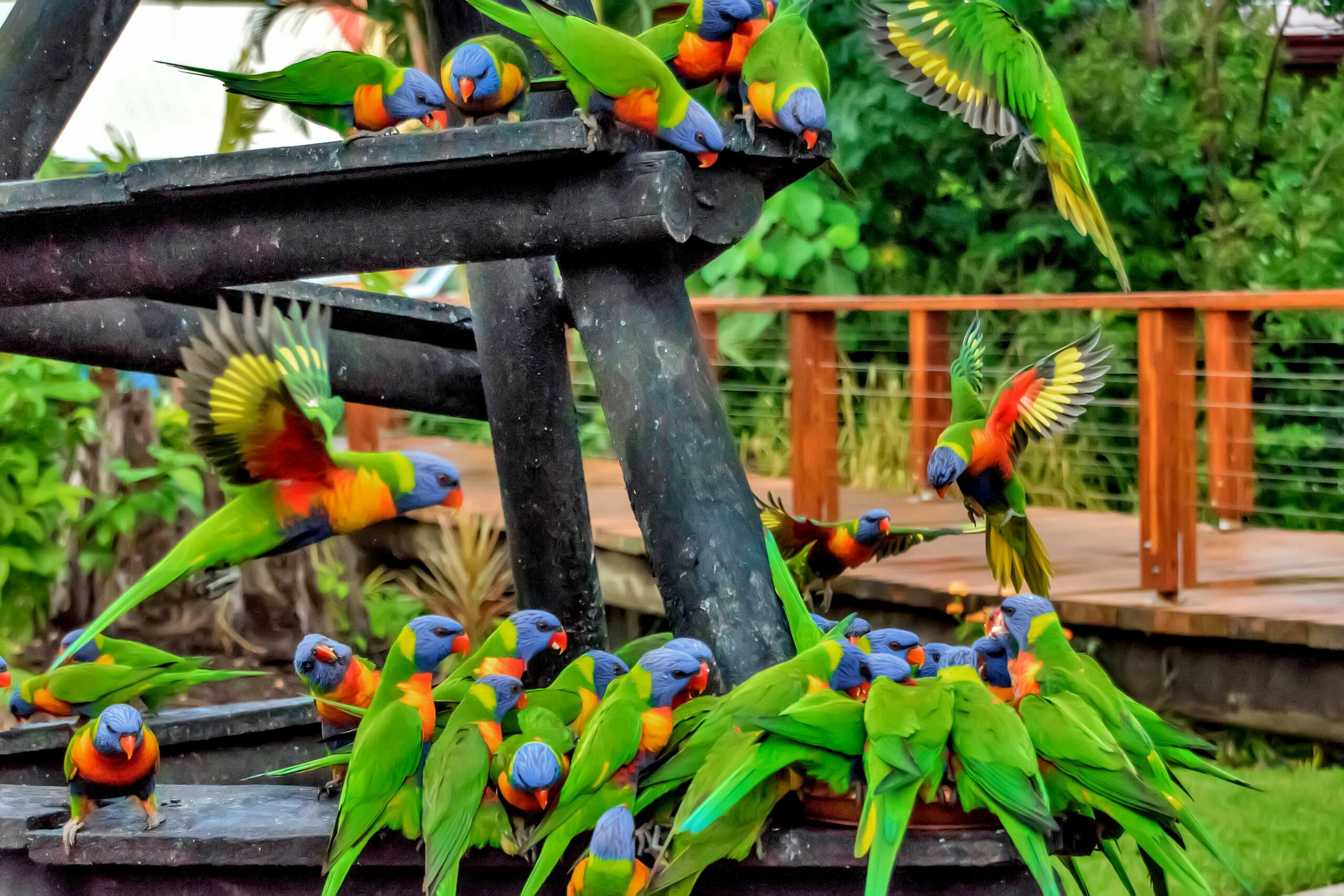 Discovery Parks - Airlie Beach